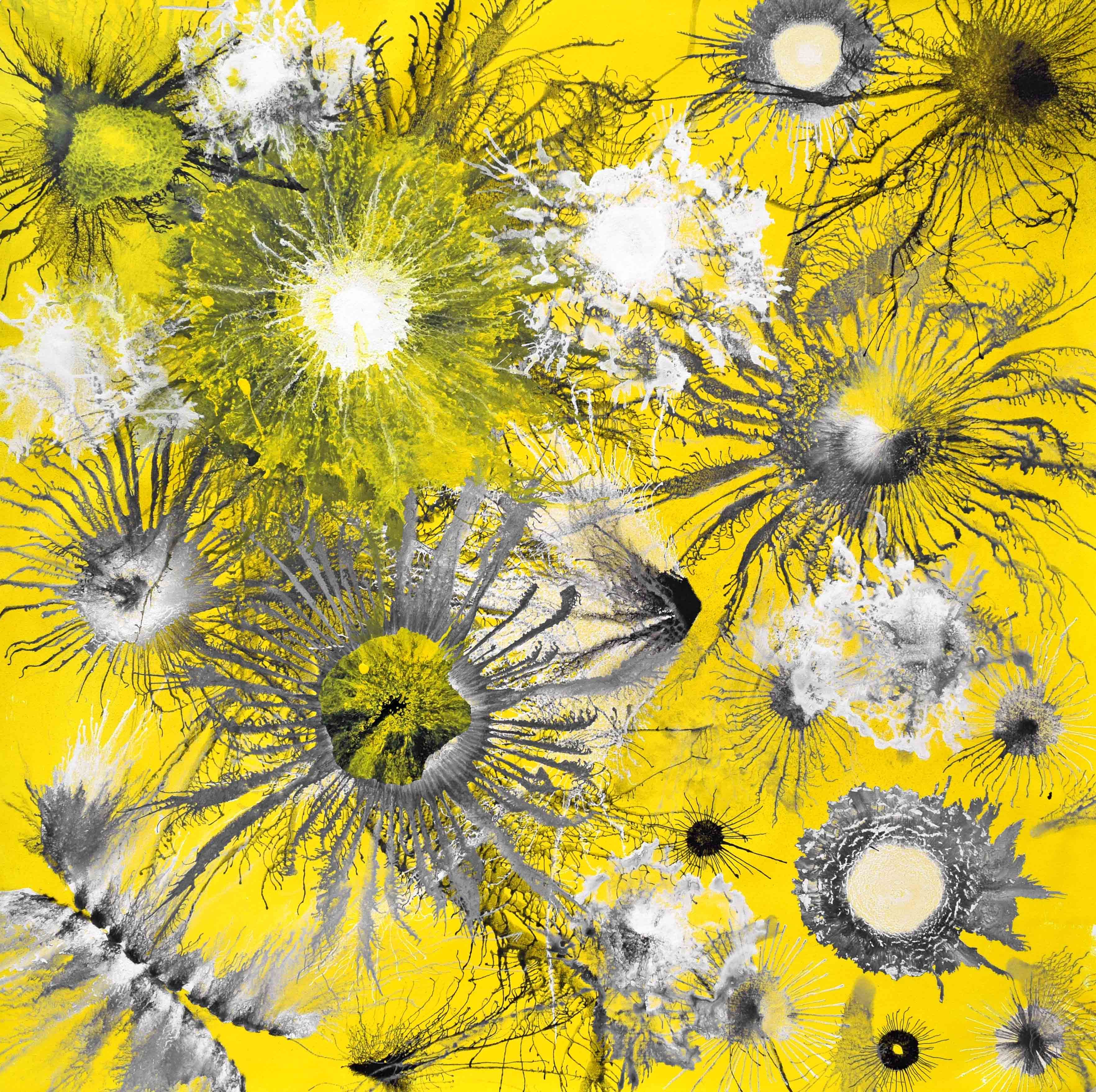 Sumit Mehndiratta, Exploflora Series No. 96 Sumit Mehndiratta, Exploflora Series No. 96