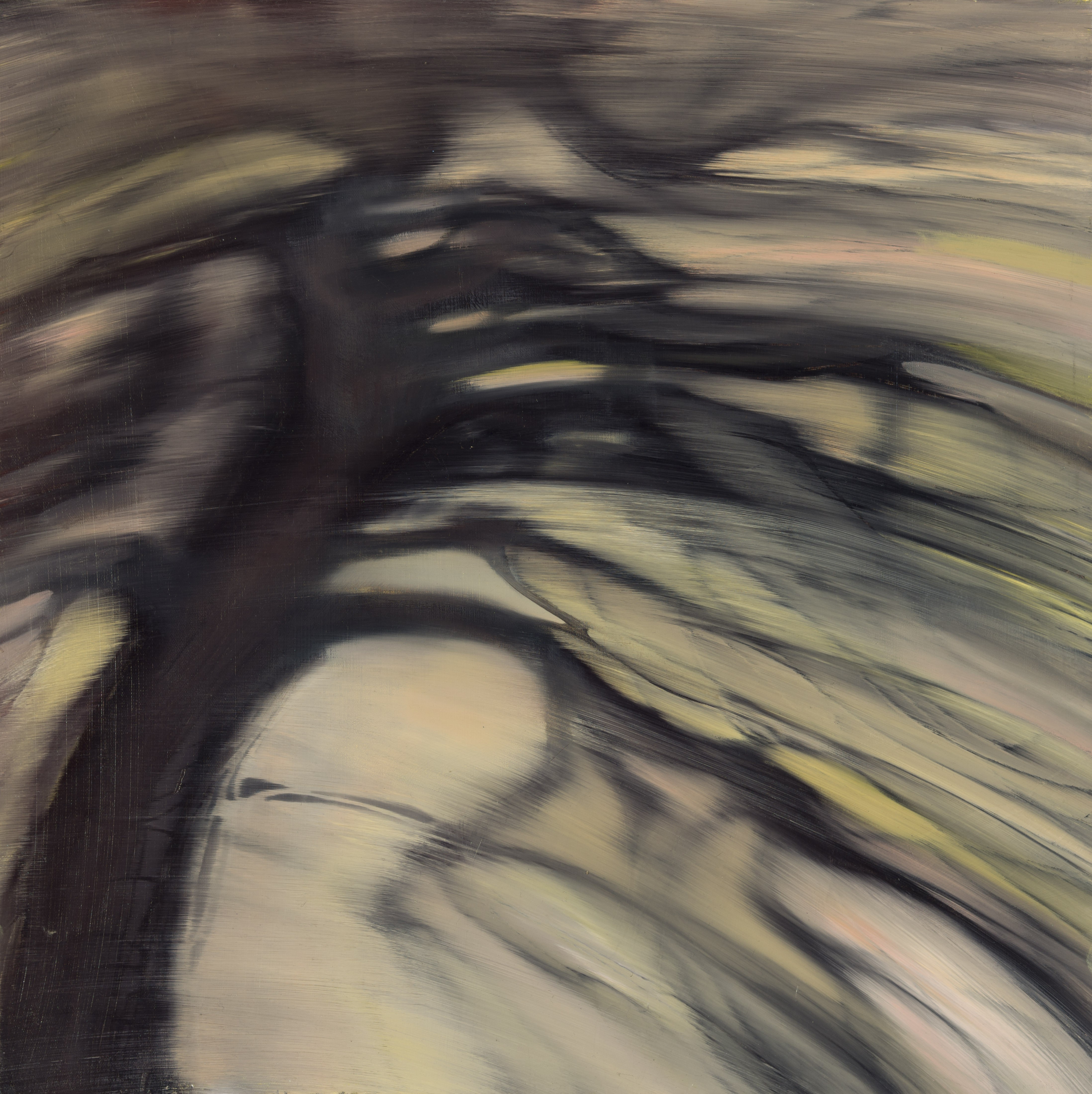 Teona Yamanidze, Forest Teona Yamanidze, Forest