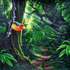 Pintura, Cabezon à tête rouge dans la jungle colombienne, Juan Carlos Suarez