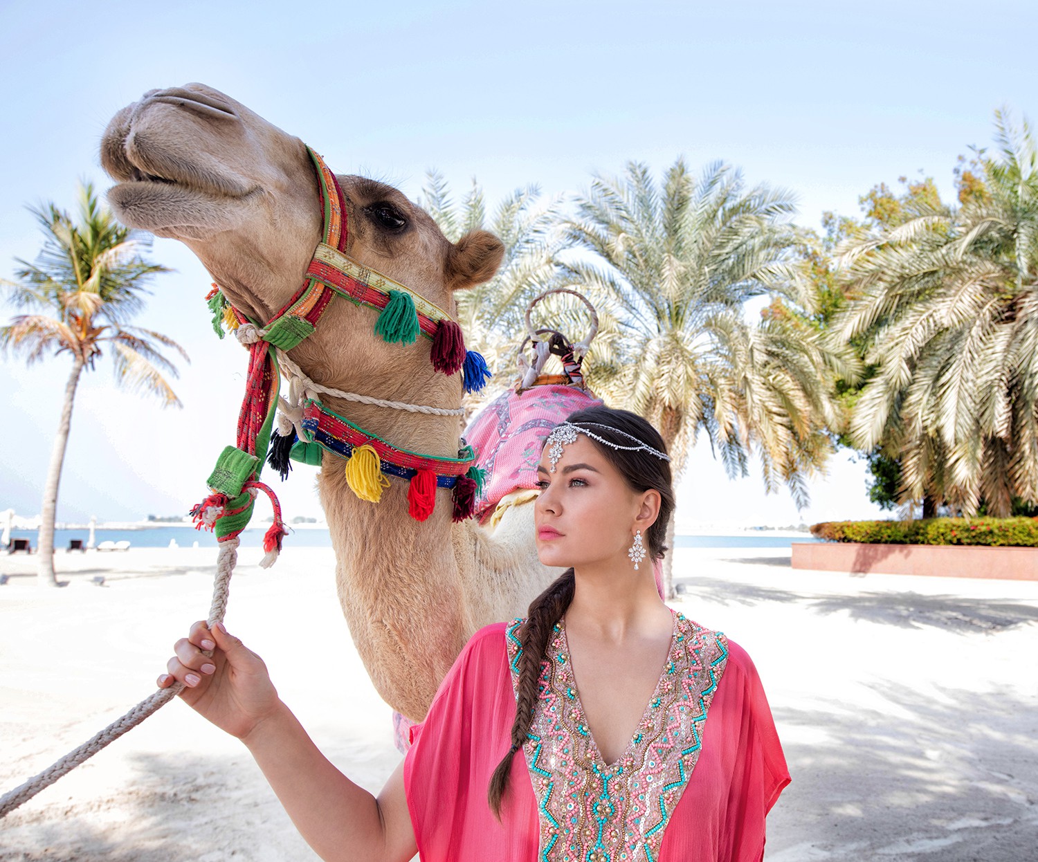 Anthony Horth, Bedouin Camel Anthony Horth, Bedouin Camel