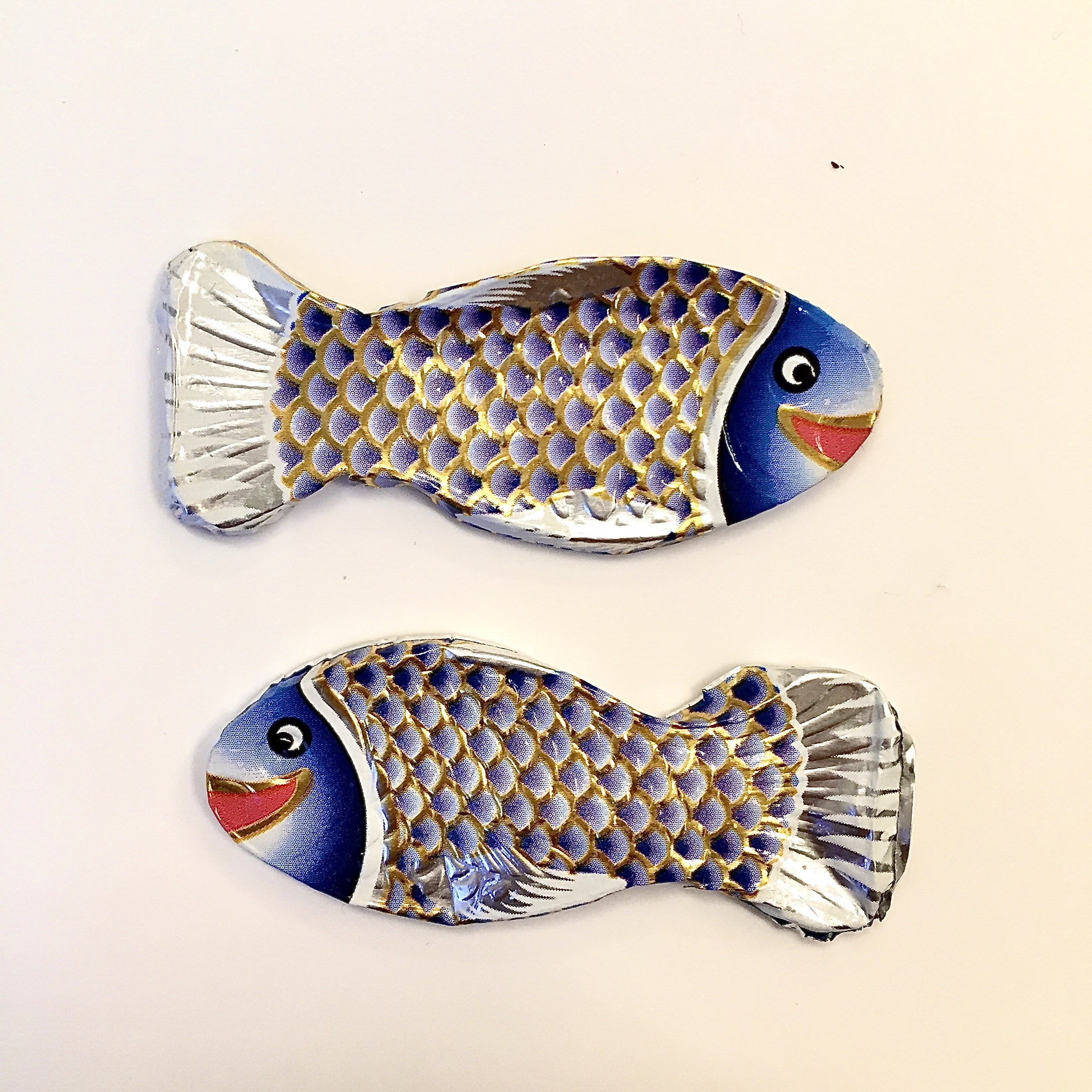 Sacha Haillote, Les poissons Sacha Haillote, Les poissons