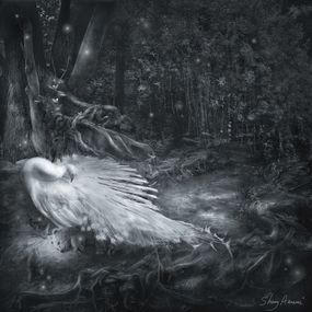 Fotografien, Sleeping Beauty, Sherry Akrami