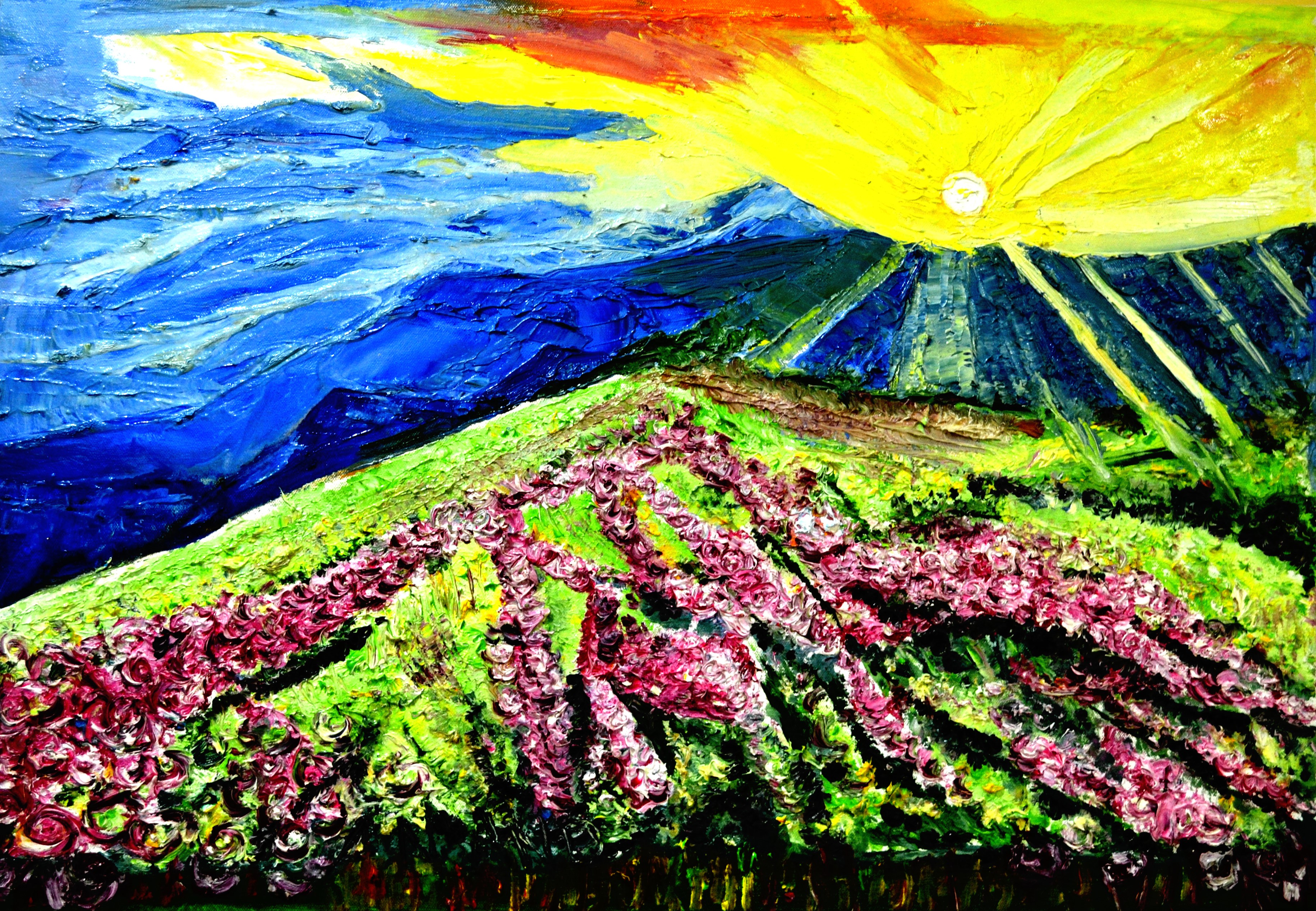 Anand Manchiraju, Valley of flowers-5 Anand Manchiraju, Valley of flowers-5