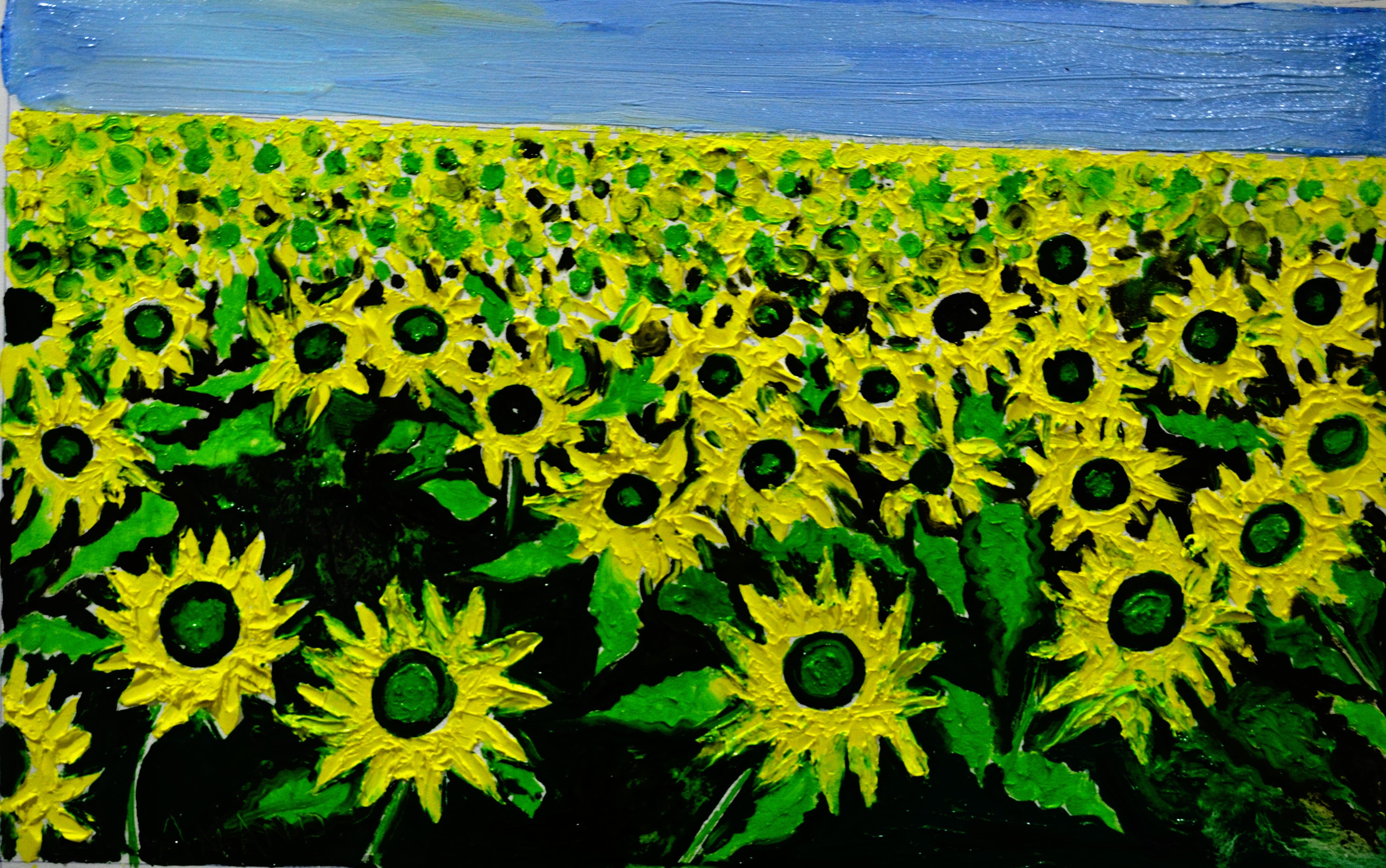Anand Manchiraju, Sun flowers field Anand Manchiraju, Sun flowers field