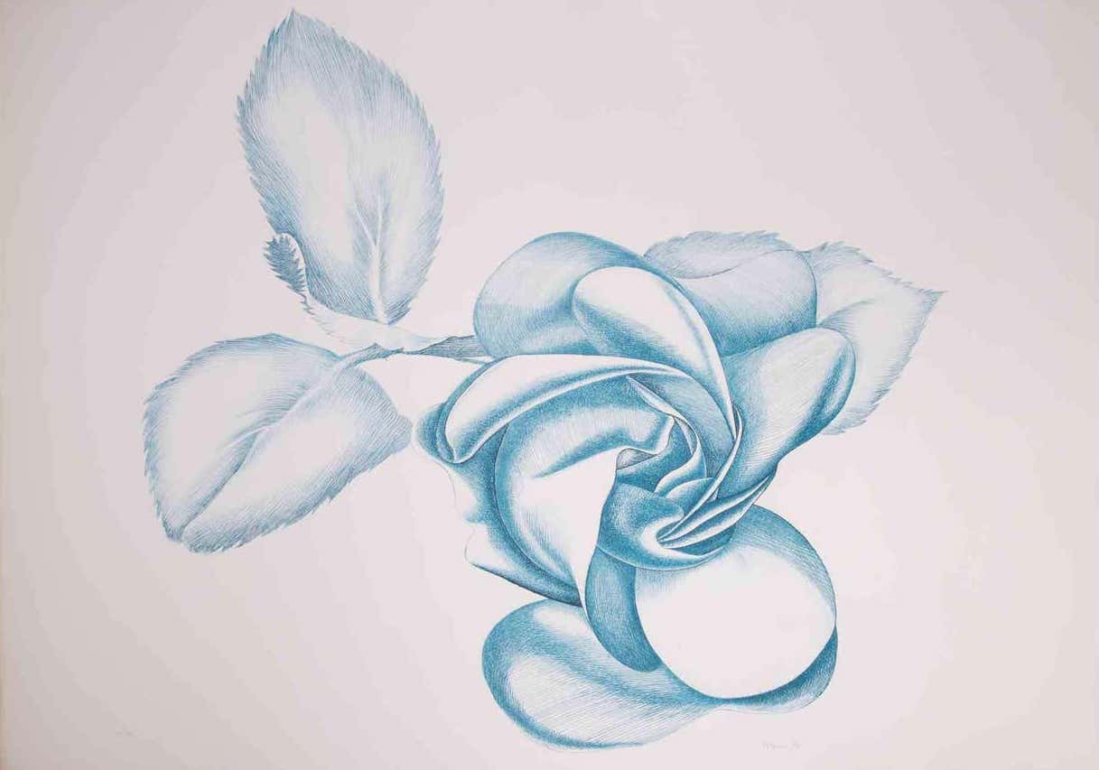 Giacomo Porzano, Blue Rose Giacomo Porzano, Blue Rose