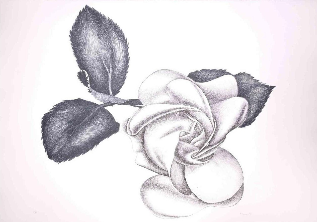 Giacomo Porzano, Black Rose Giacomo Porzano, Black Rose