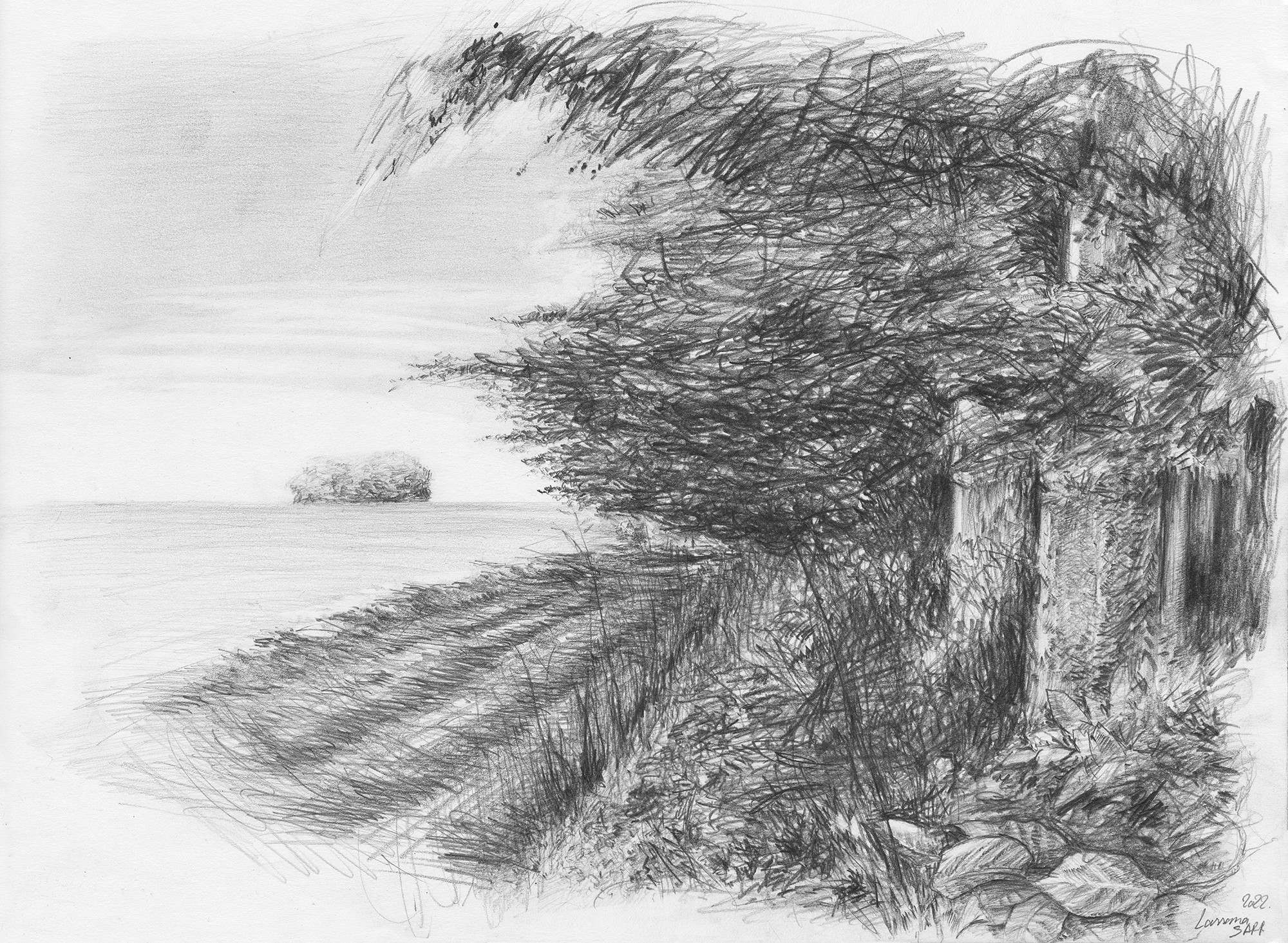 Lassana Sarr, Ombre d'arbres sur lins couchants Lassana Sarr, Ombre d'arbres sur lins couchants