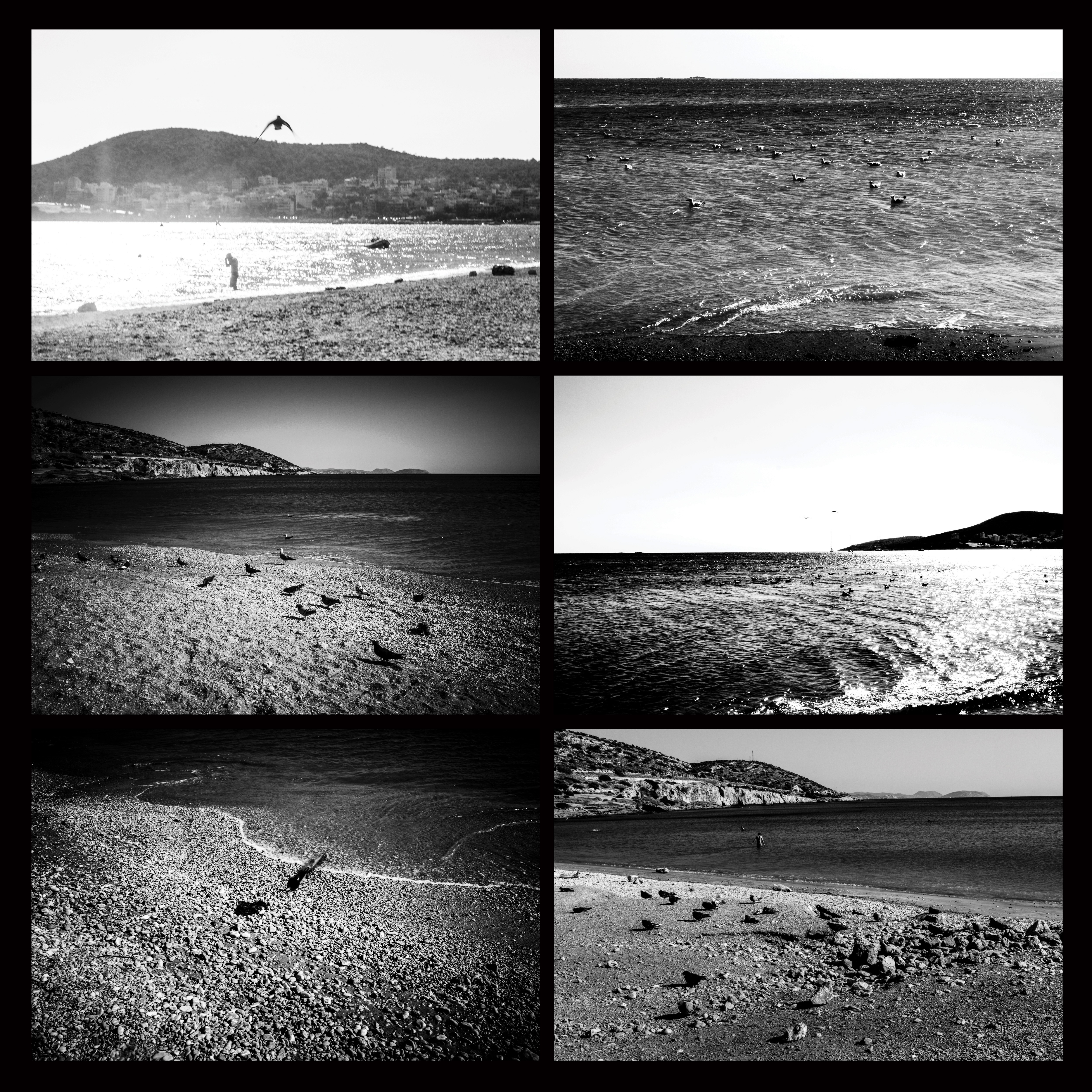 Ellie Sass (Sassayiannis), Seabirds : Distance Ellie Sass (Sassayiannis), Seabirds : Distance