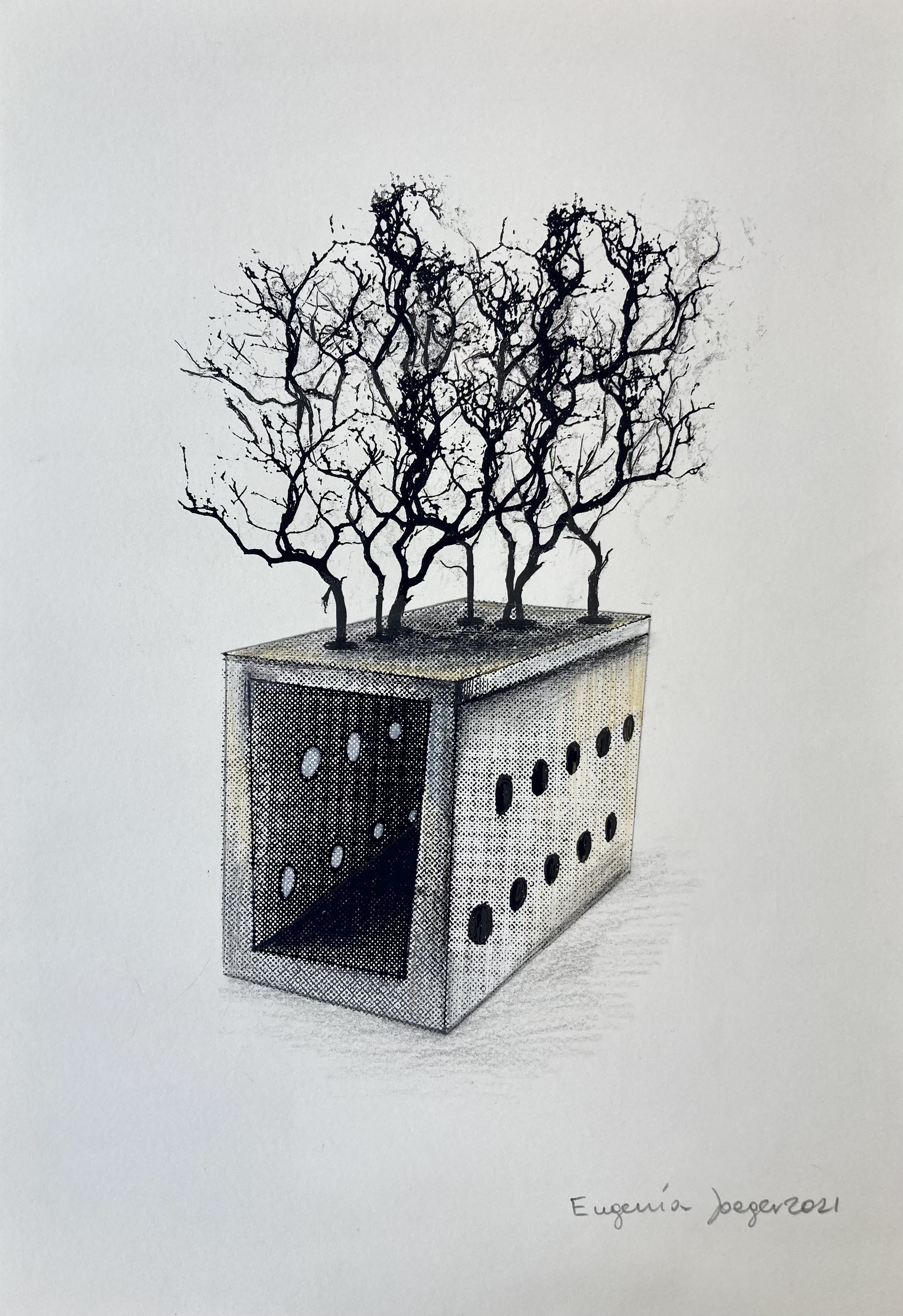 Eugenia Jaeger, Forêt noire Eugenia Jaeger, Forêt noire