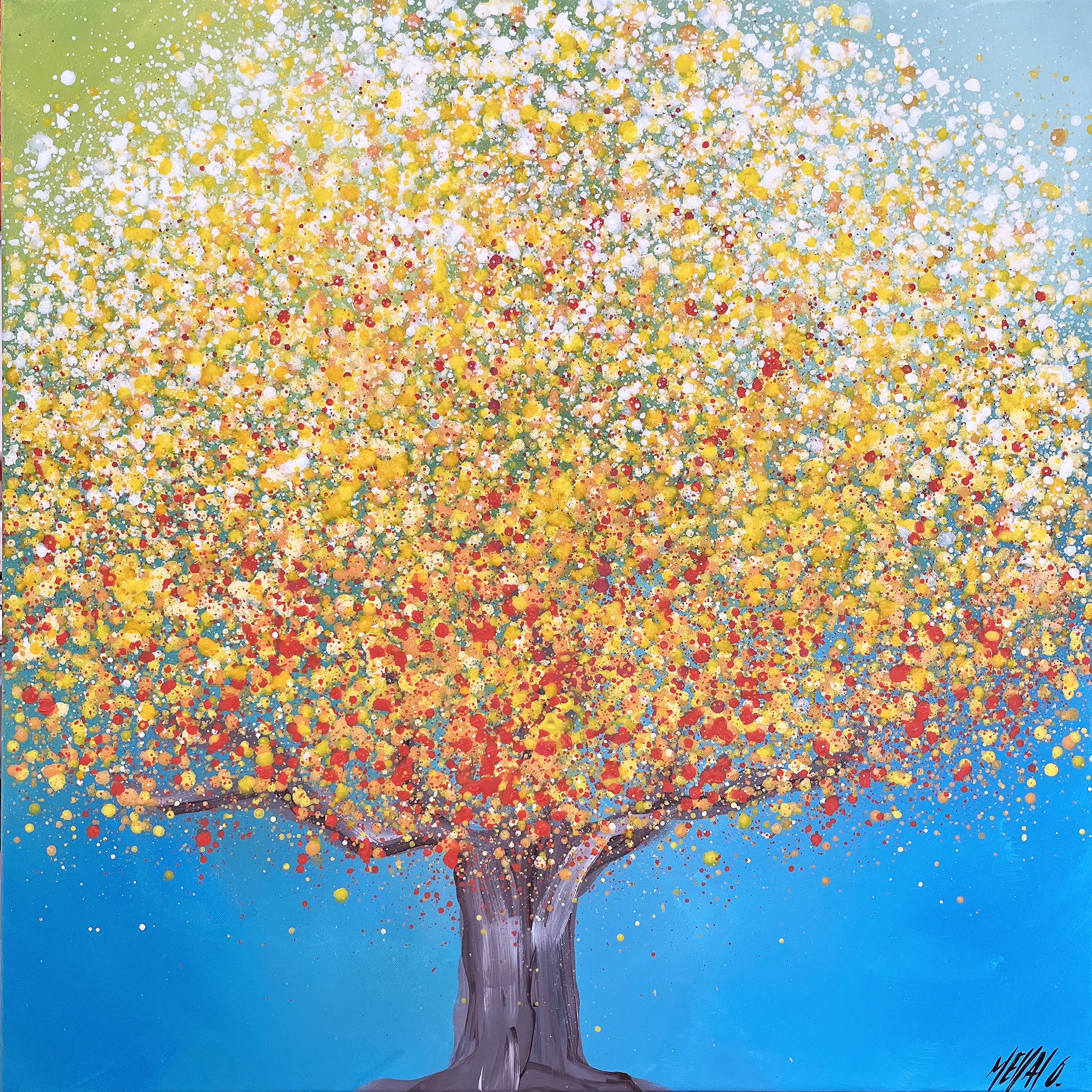 Olivier Messas, Lumière Olivier Messas, Lumière