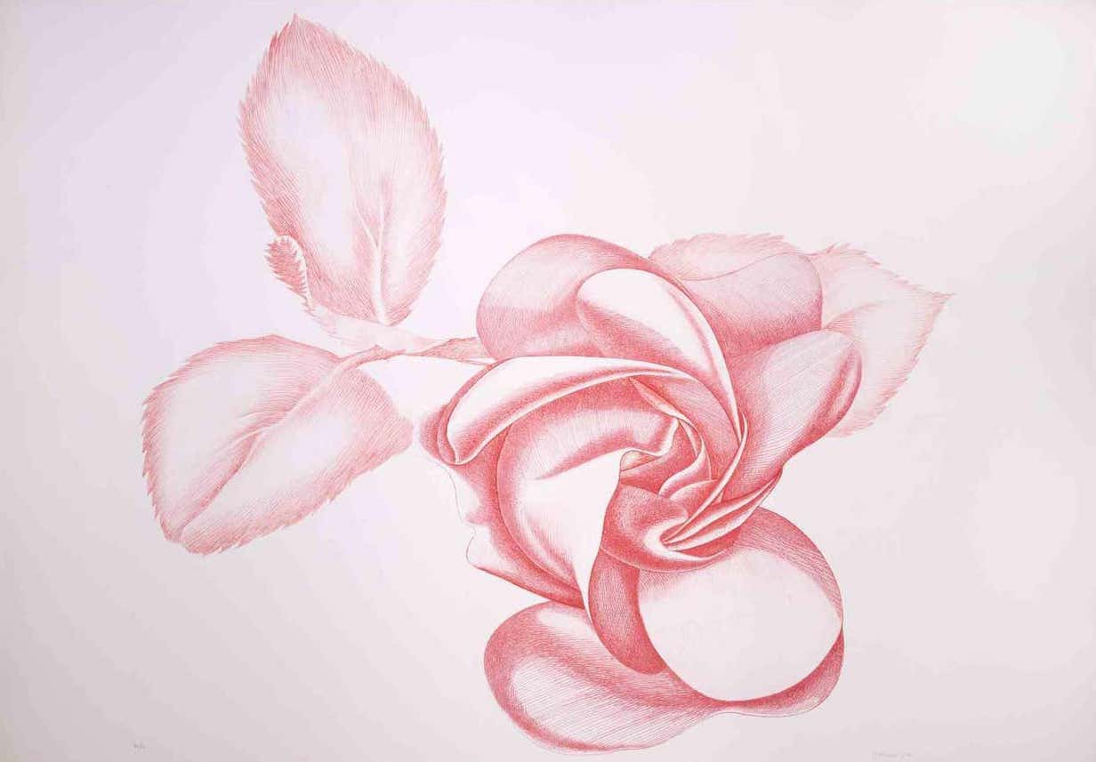 Giacomo Porzano, Red Rose Giacomo Porzano, Red Rose