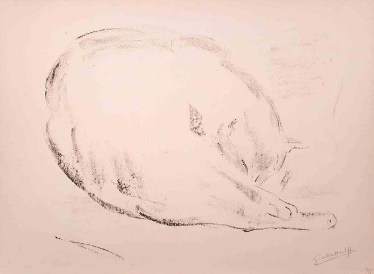 Giselle Halff, Cat Giselle Halff, Cat