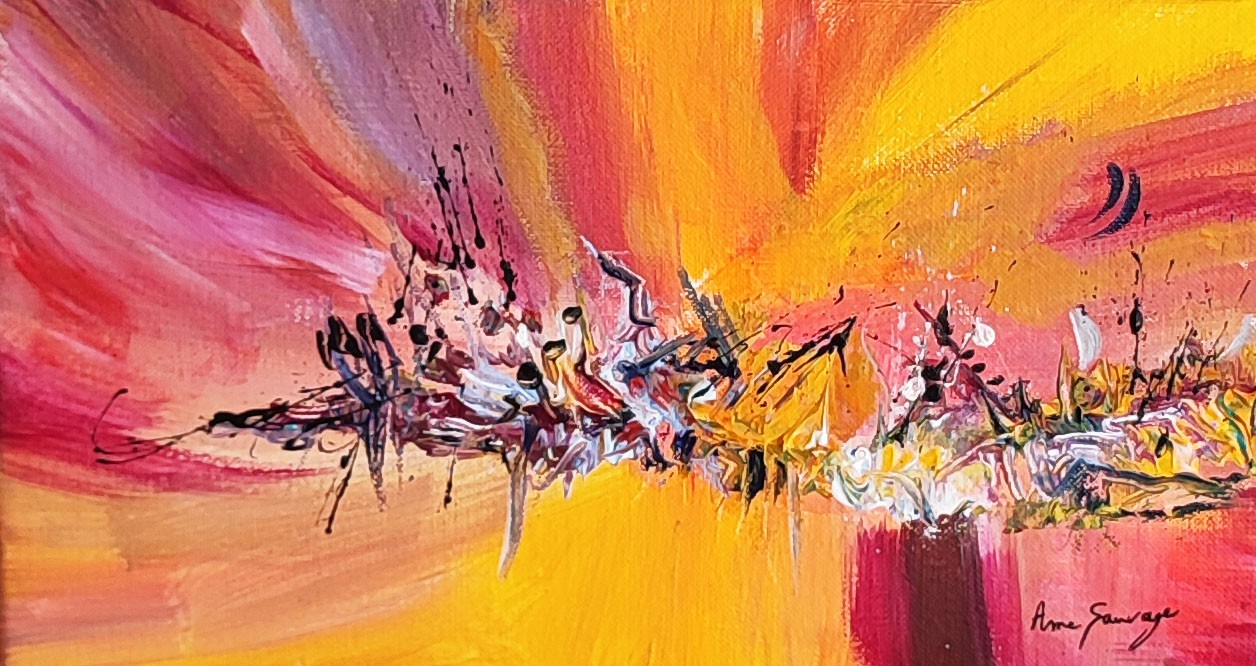 Âme Sauvage, Vol en rêve Âme Sauvage, Vol en rêve