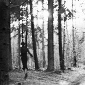 Photography, Forest Walk, Lucia Heumann