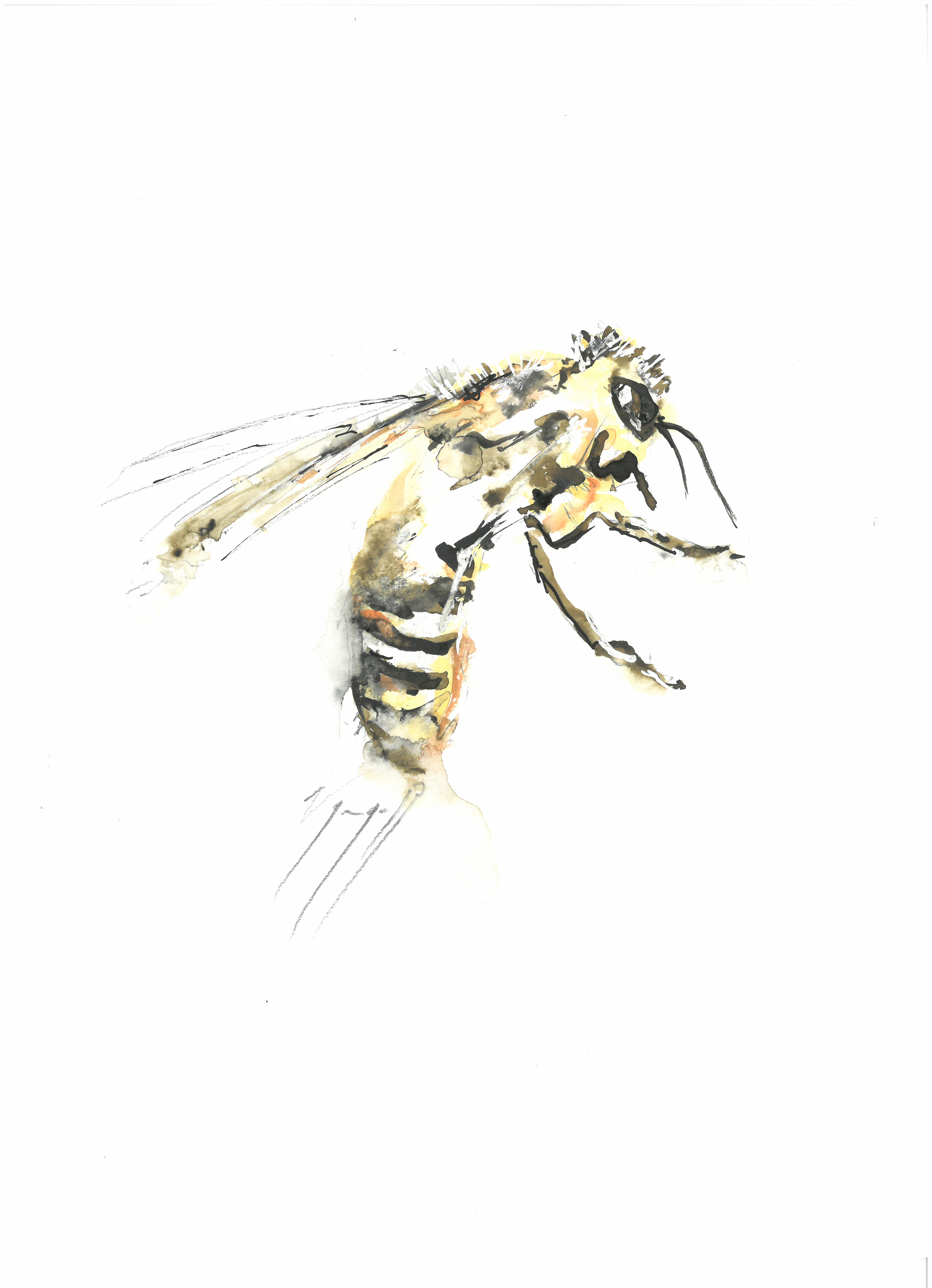 Noël Granger, Mon abeille Noël Granger, Mon abeille