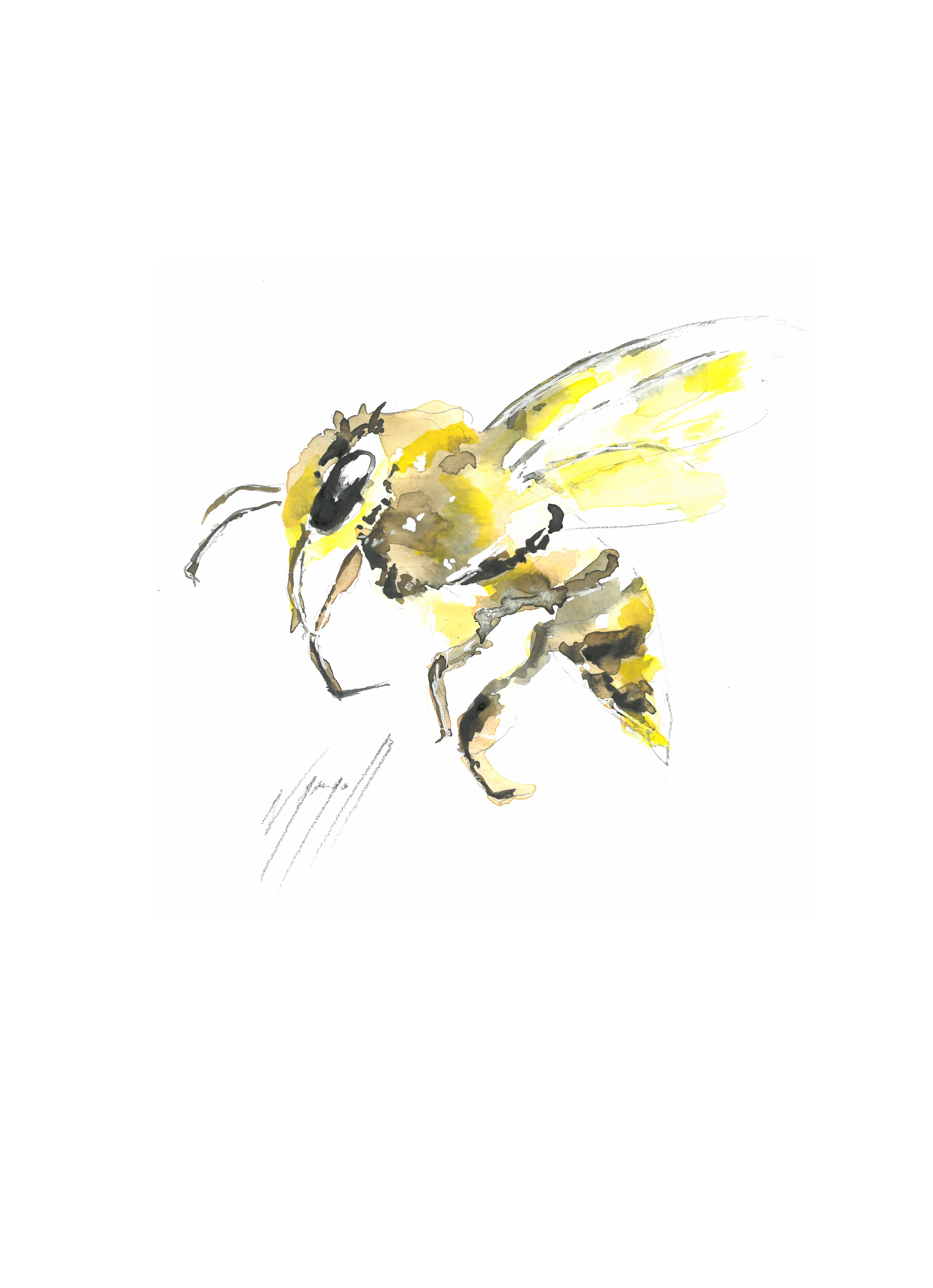 Noël Granger, My Bee Noël Granger, My Bee