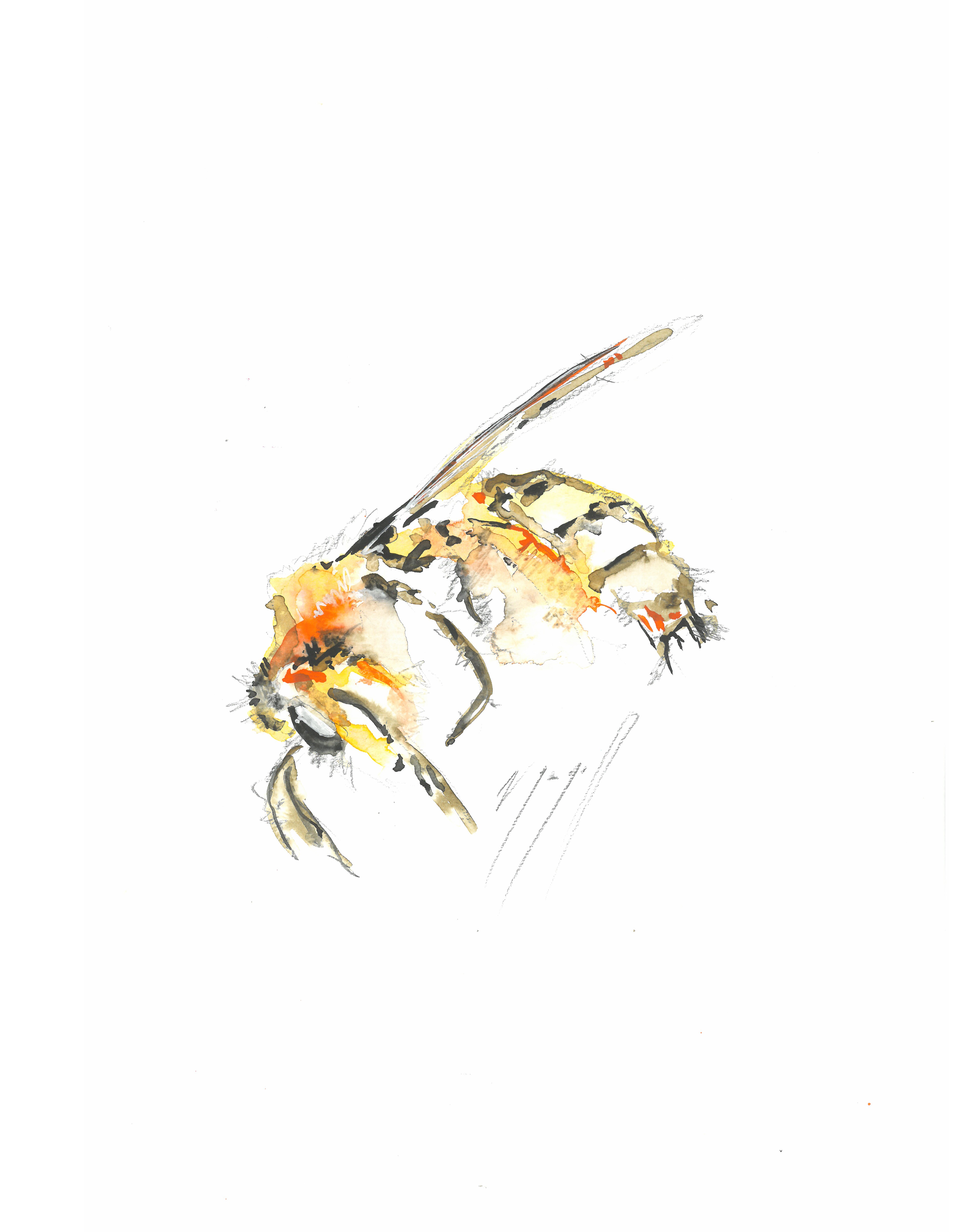 Noël Granger, La reine des abeilles Noël Granger, La reine des abeilles