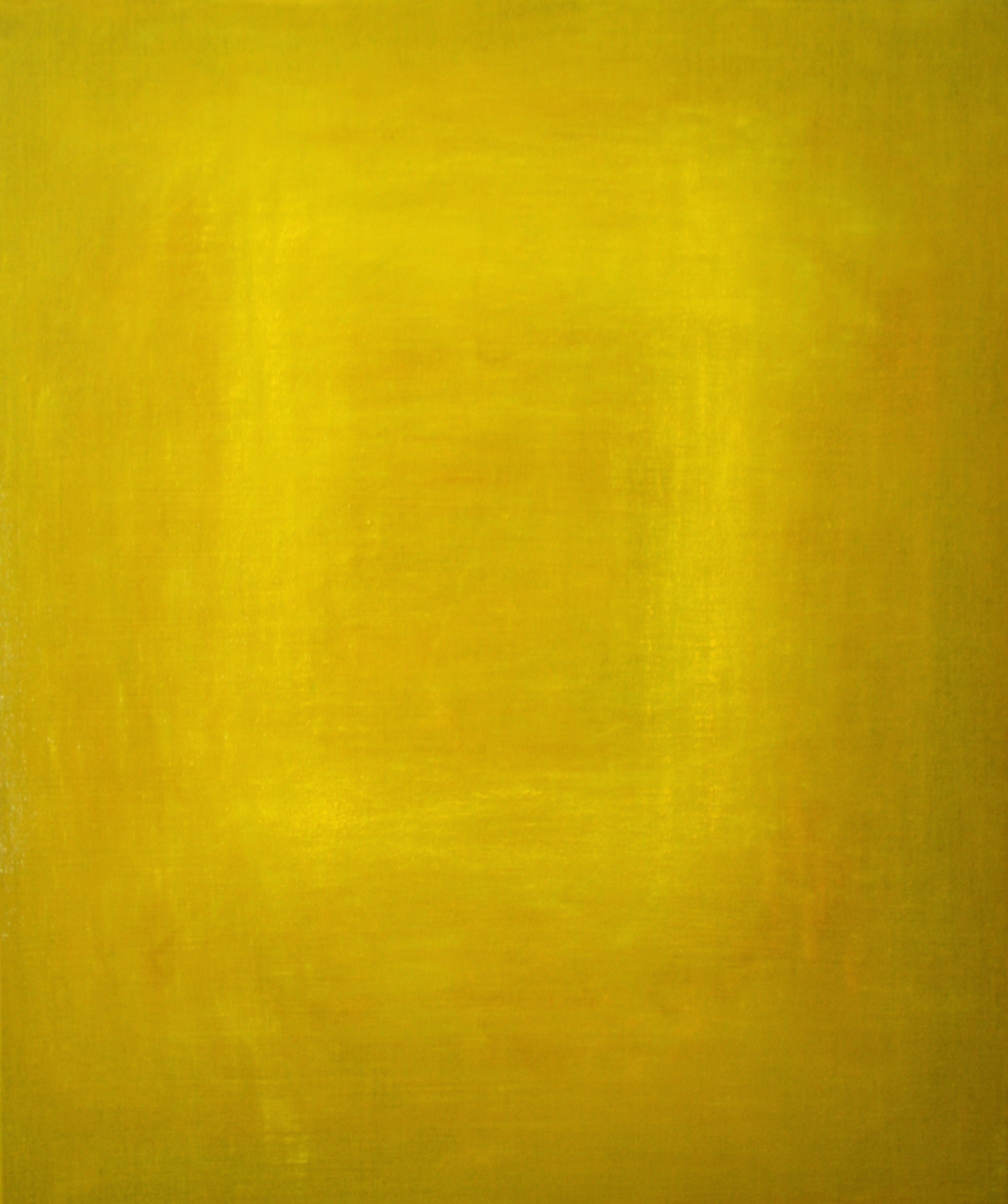 Nicolas Vasse, Jaune 1 Nicolas Vasse, Jaune 1