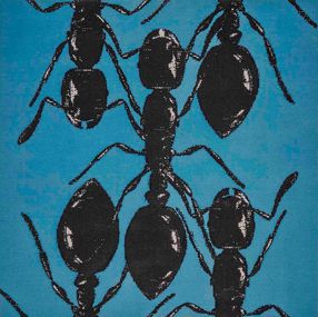 Ants, Peter Kogler