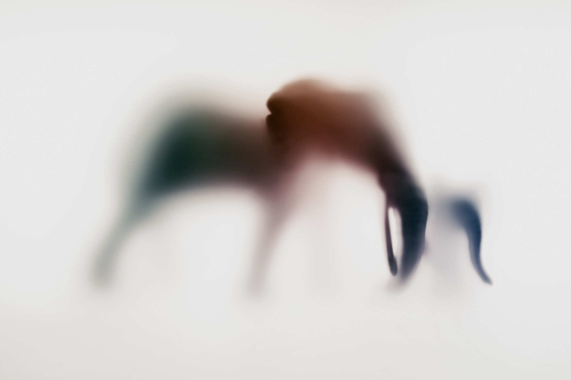 Sven Pfrommer, Wild lens - Elephant X Sven Pfrommer, Wild lens - Elephant X