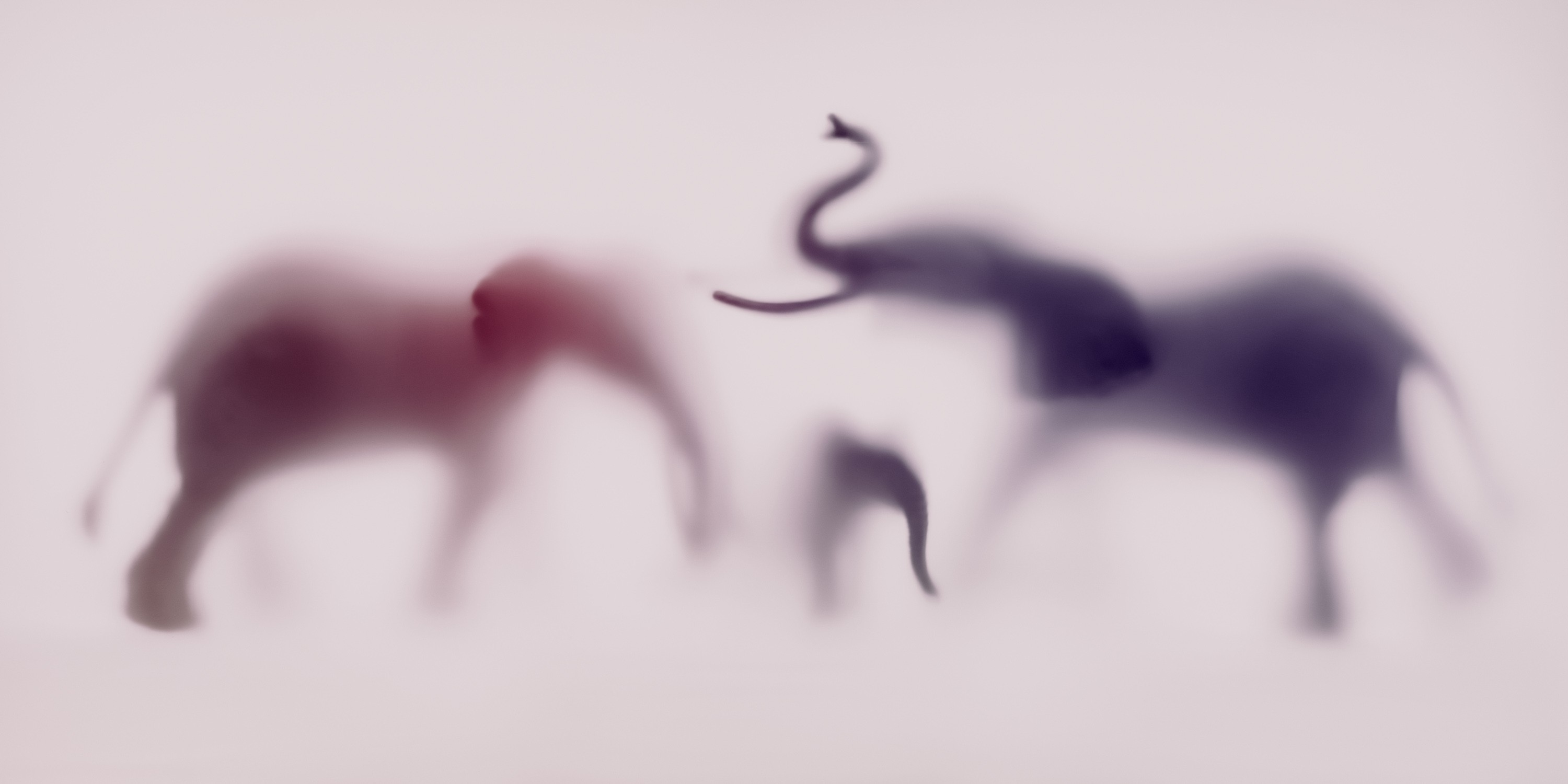 Sven Pfrommer, Wild lens - Elephant XVII Sven Pfrommer, Wild lens - Elephant XVII