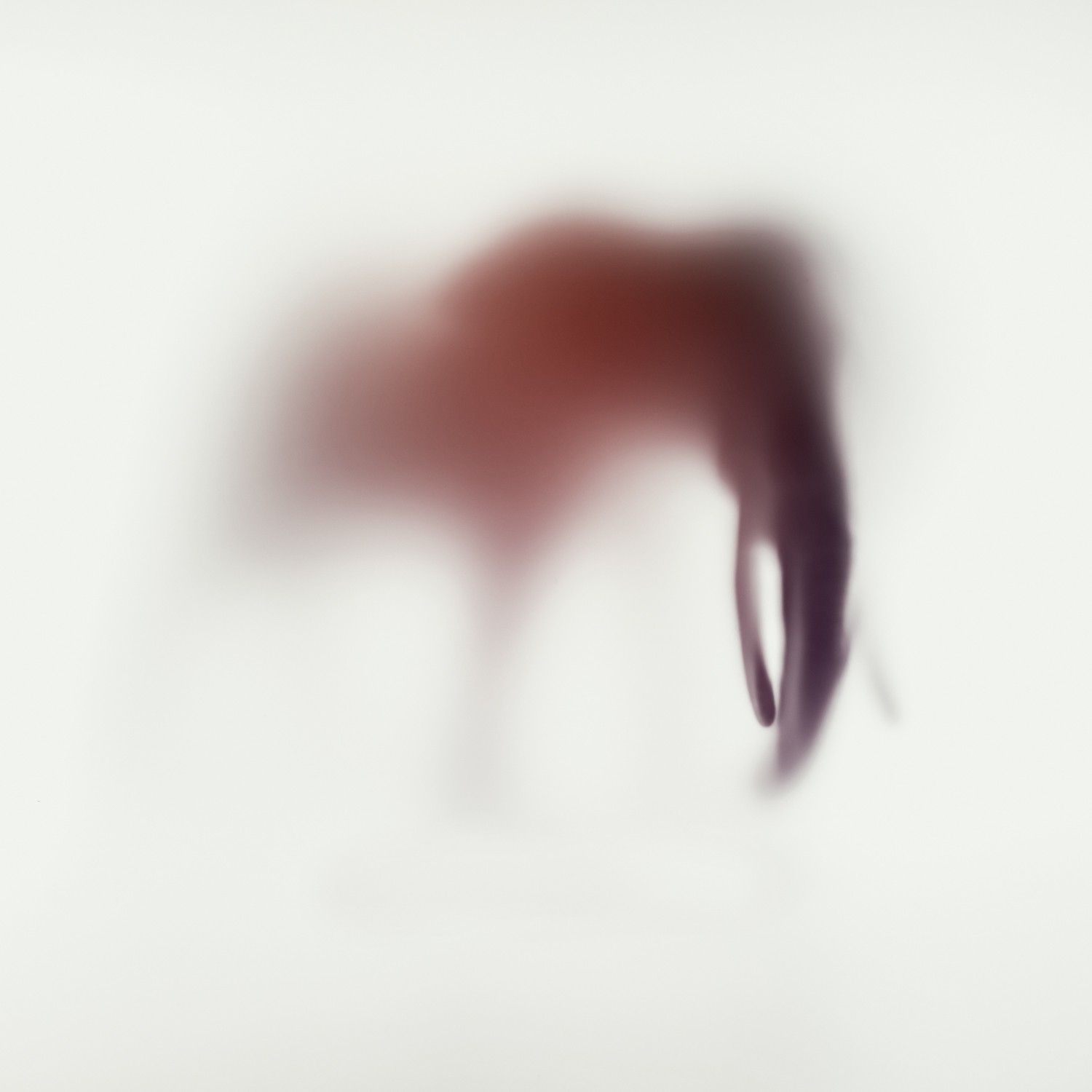 Sven Pfrommer, Wild lens - Elephant XXIV Sven Pfrommer, Wild lens - Elephant XXIV