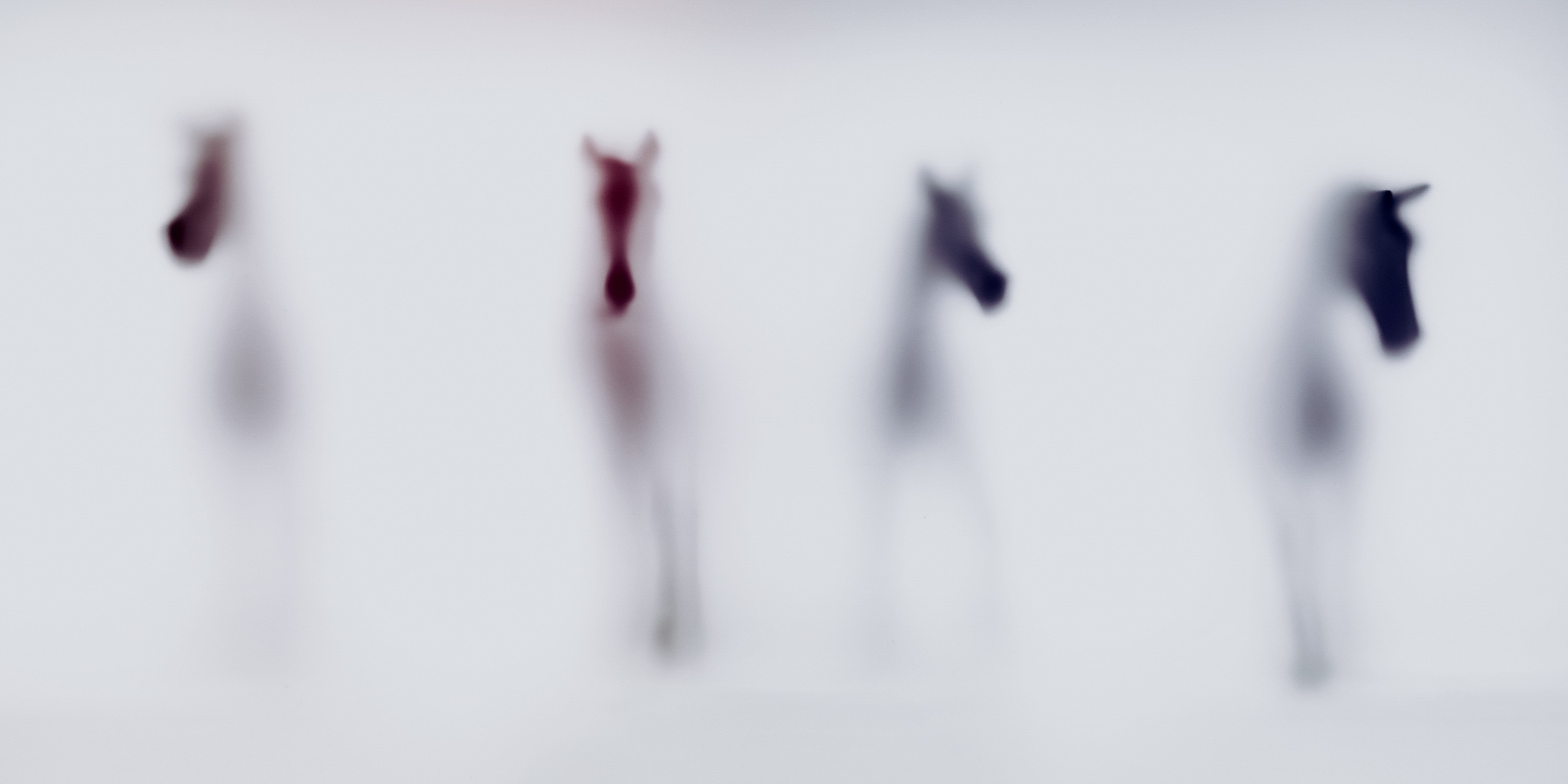 Sven Pfrommer, Wild lens - Horses II Sven Pfrommer, Wild lens - Horses II