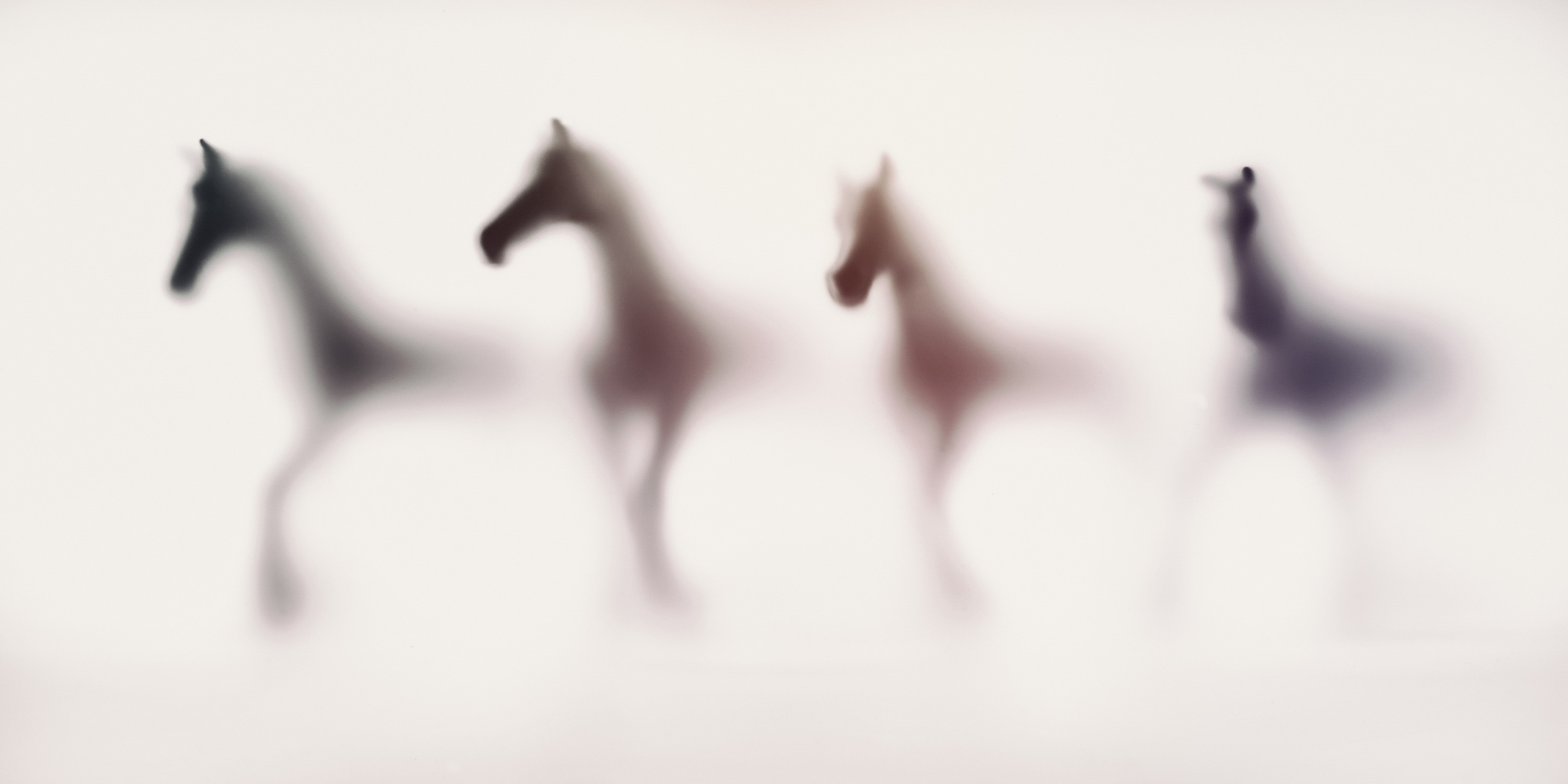 Sven Pfrommer, Wild Lens - Horses IV Sven Pfrommer, Wild Lens - Horses IV
