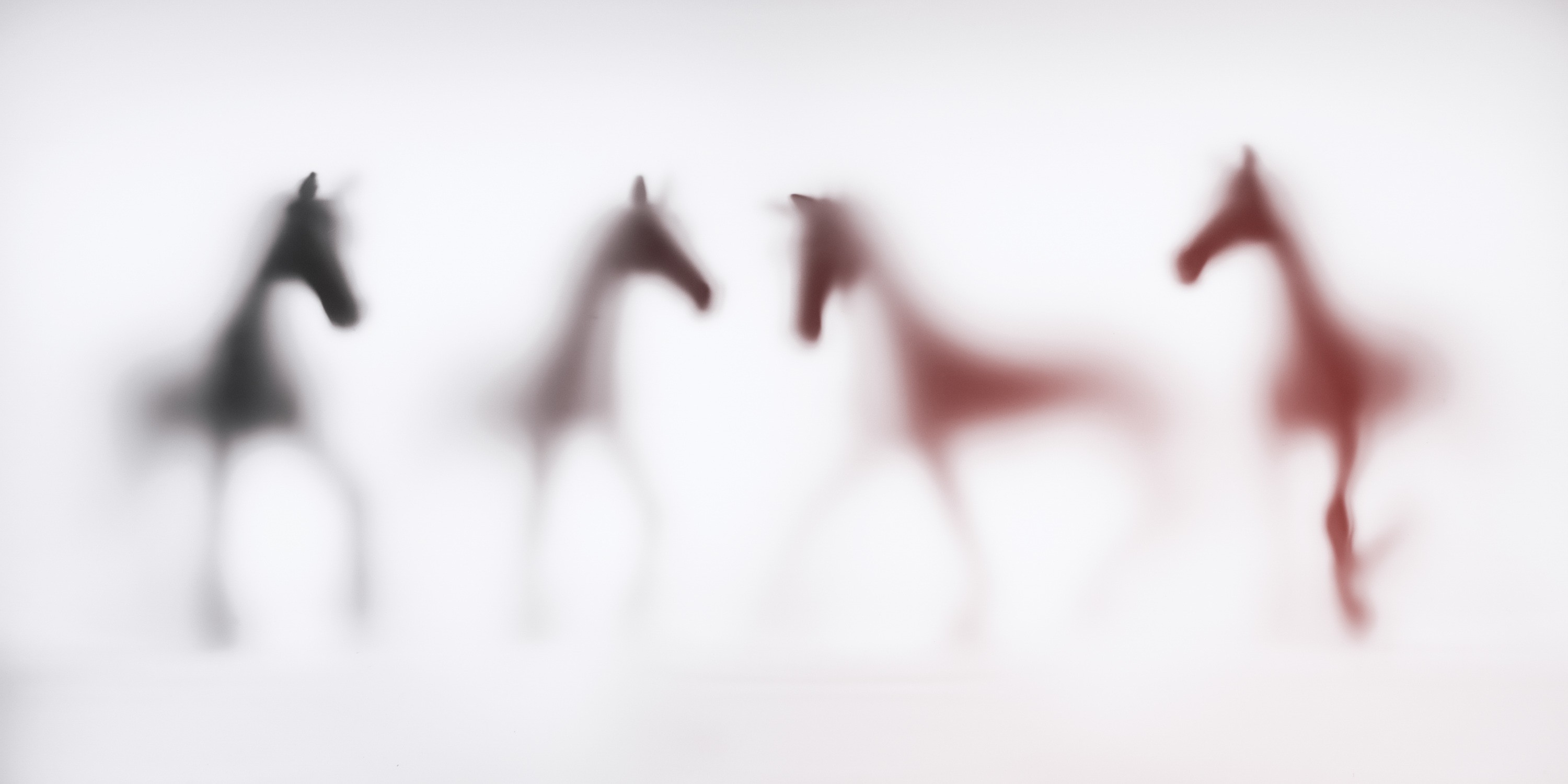 Sven Pfrommer, Wild Lens - Horses VII Sven Pfrommer, Wild Lens - Horses VII