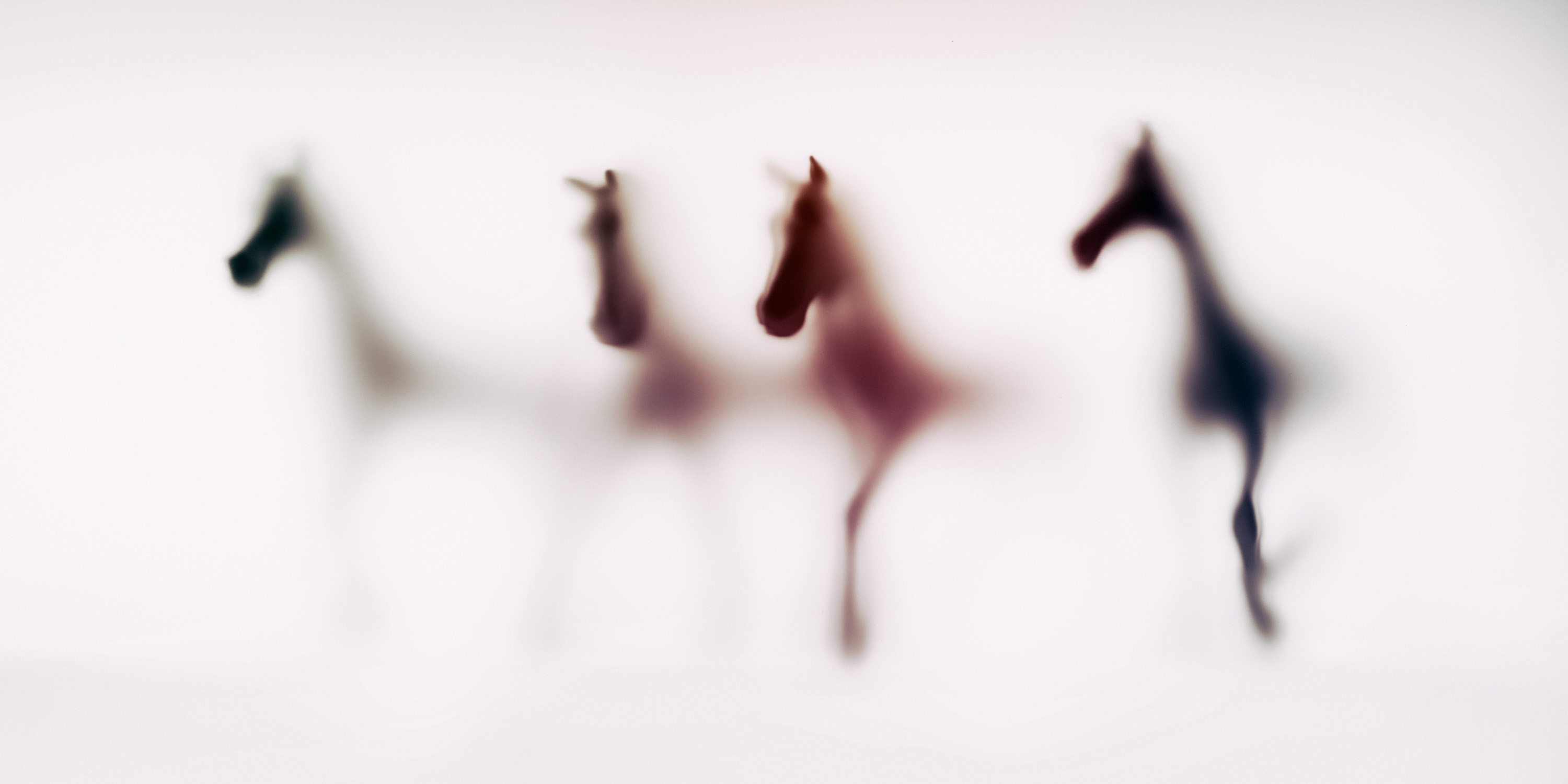 Sven Pfrommer, Wild Lens - Horses X Sven Pfrommer, Wild Lens - Horses X