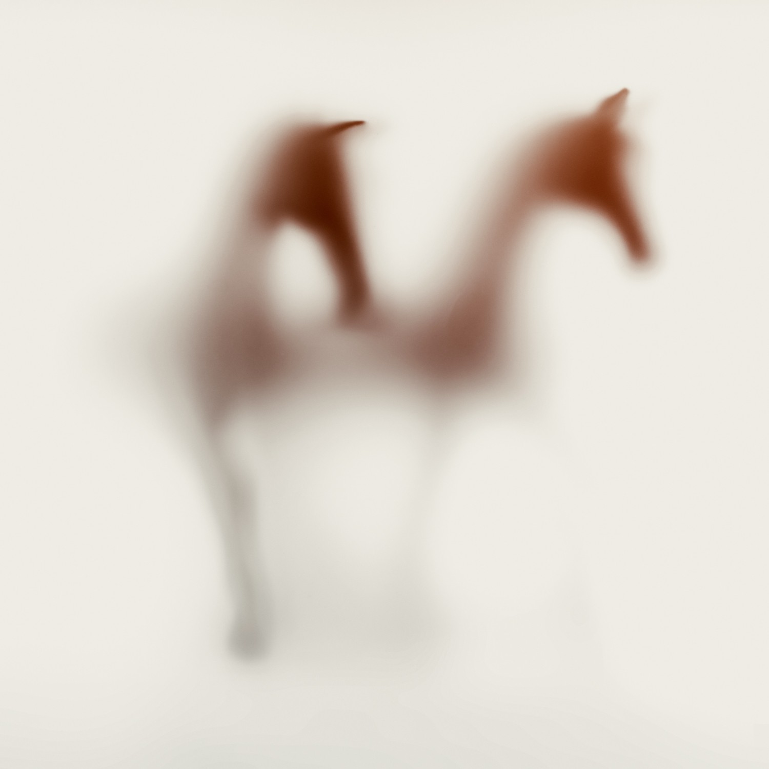 Sven Pfrommer, Wild Lens - Horses XV Sven Pfrommer, Wild Lens - Horses XV
