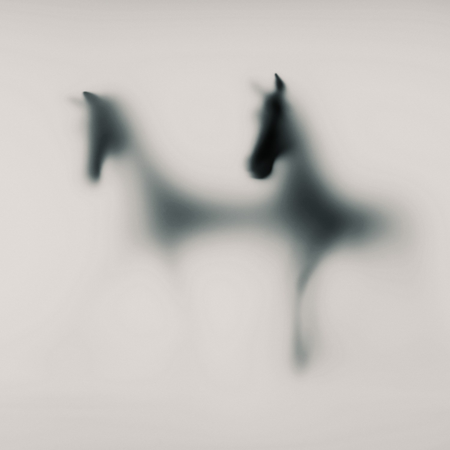 Sven Pfrommer, Wild Lens - Horses XVI Sven Pfrommer, Wild Lens - Horses XVI