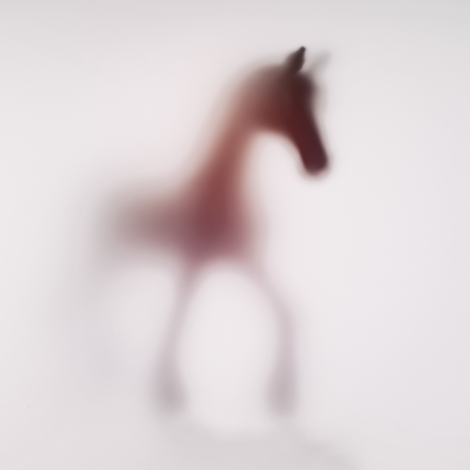 Sven Pfrommer, Wild lens - Horse XVII Sven Pfrommer, Wild lens - Horse XVII