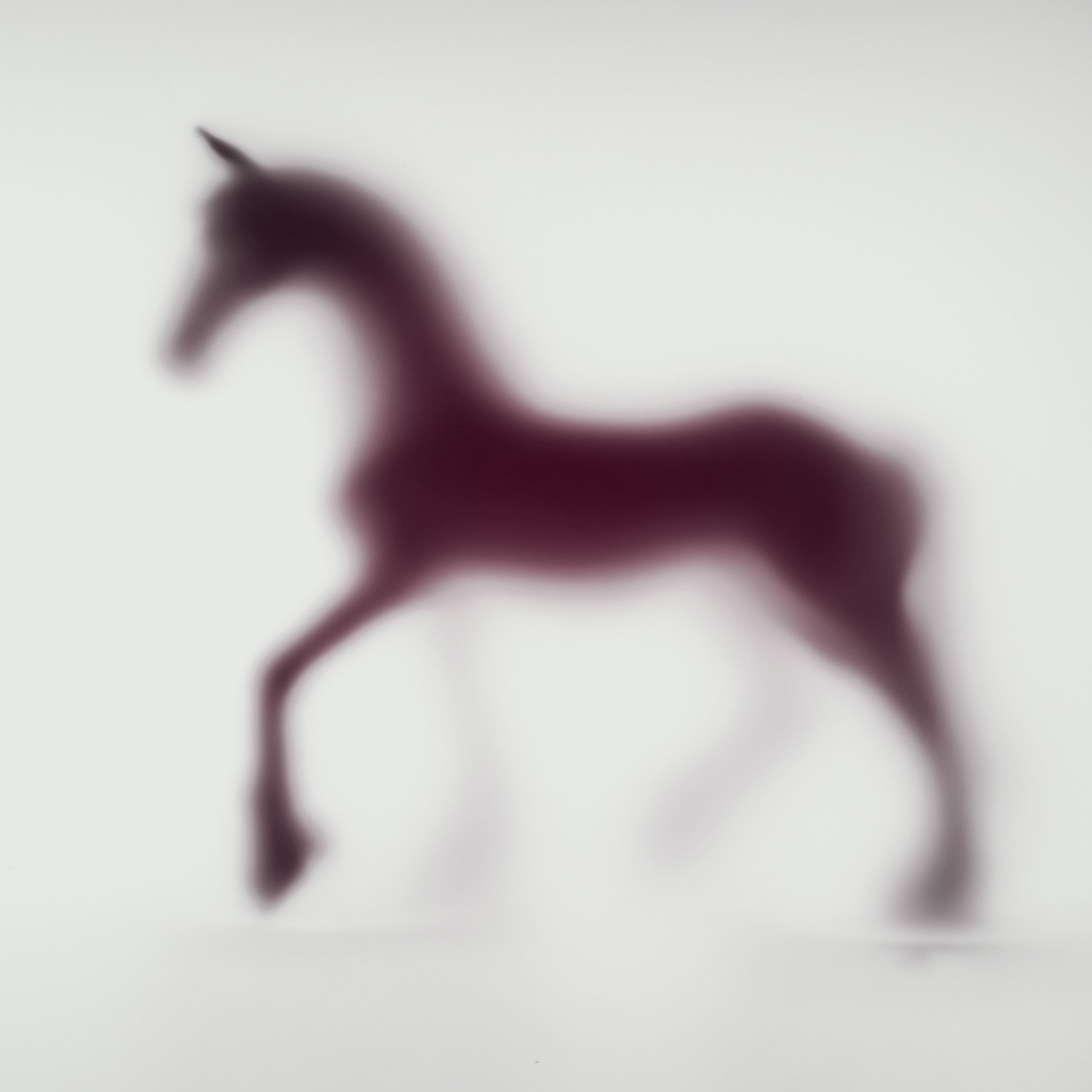 Sven Pfrommer, Wild Lens - Horse XIX Sven Pfrommer, Wild Lens - Horse XIX