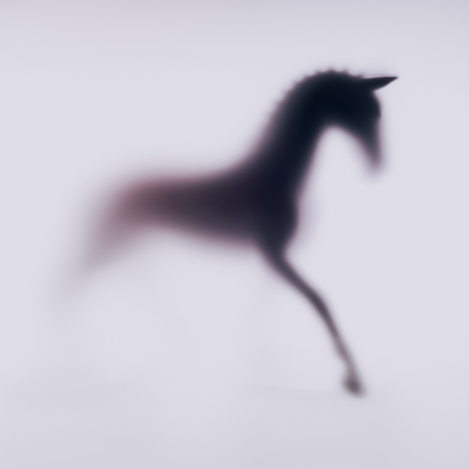 Sven Pfrommer, Wild Lens - Horse XXII Sven Pfrommer, Wild Lens - Horse XXII