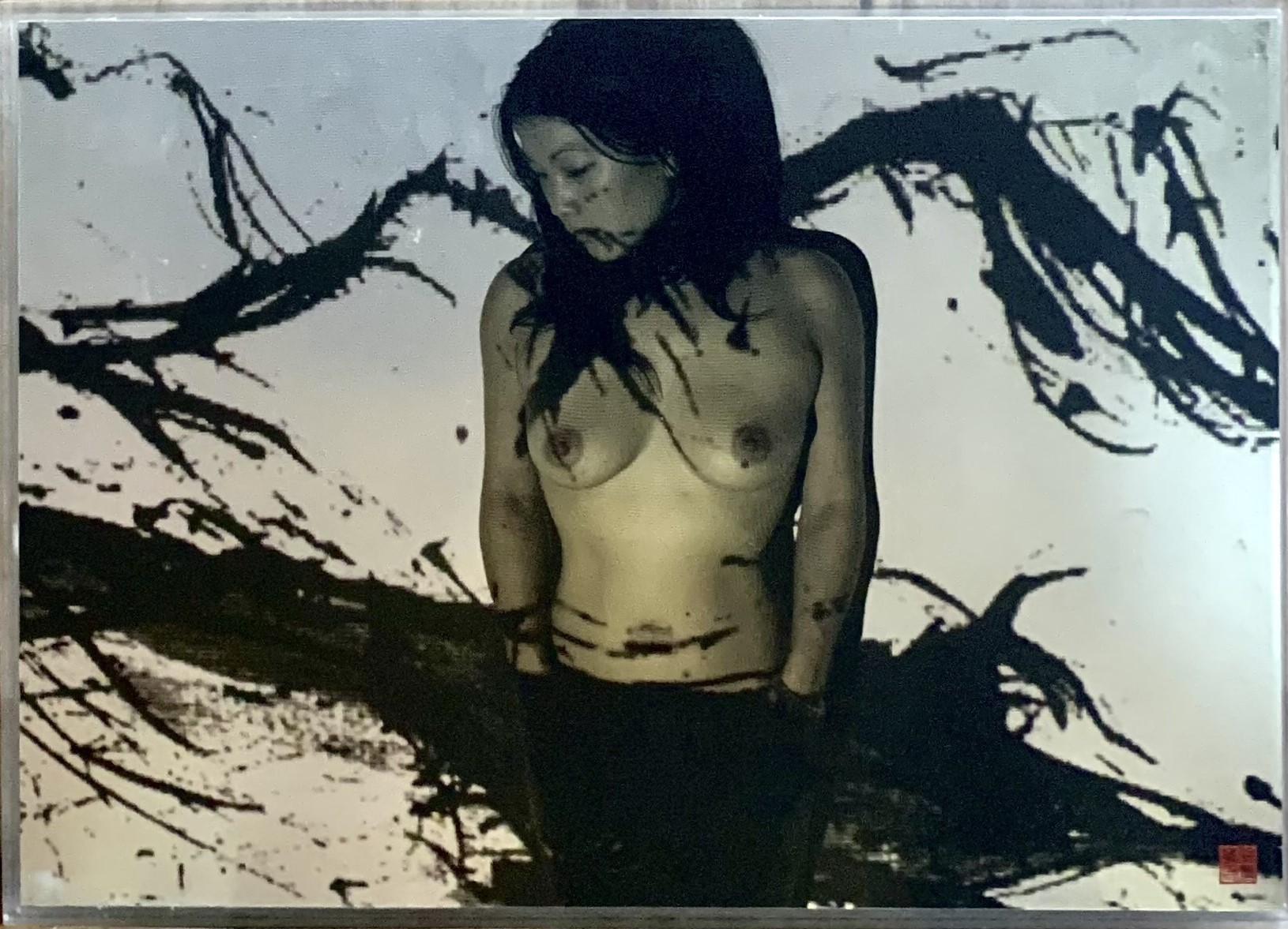 Phan Tu, Inheritance of Idealisation Phan Tu, Inheritance of Idealisation