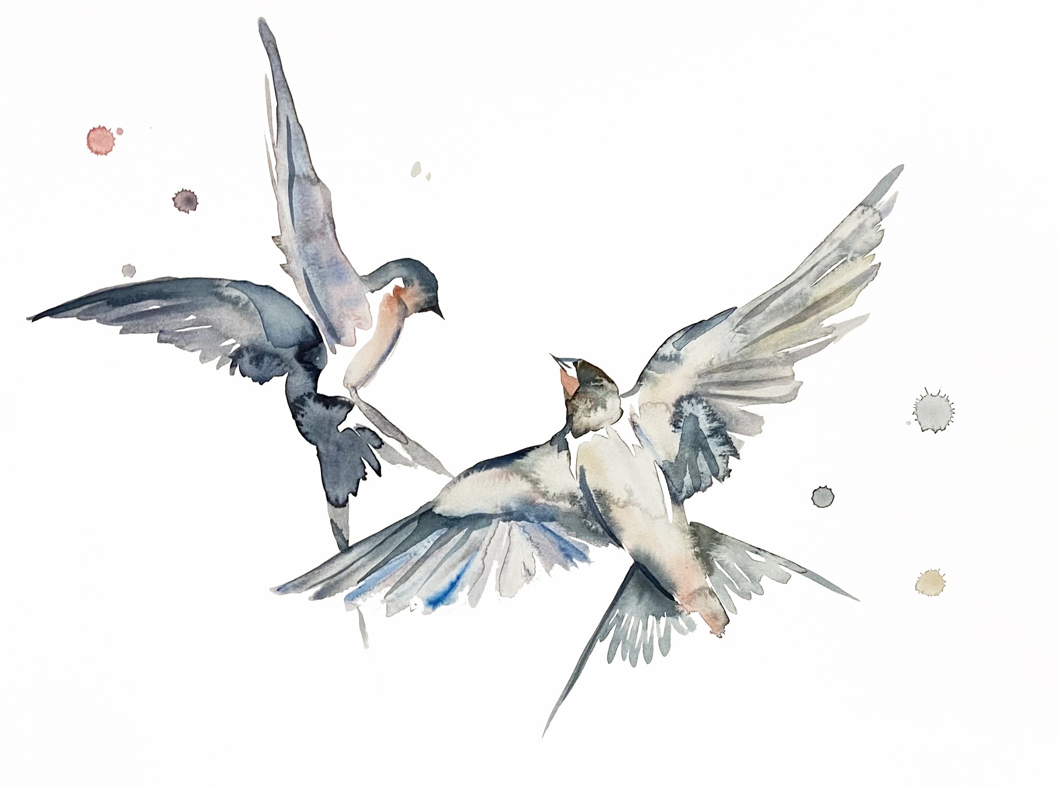Elizabeth Becker, Swallows in Flight No. 42 Elizabeth Becker, Swallows in Flight No. 42