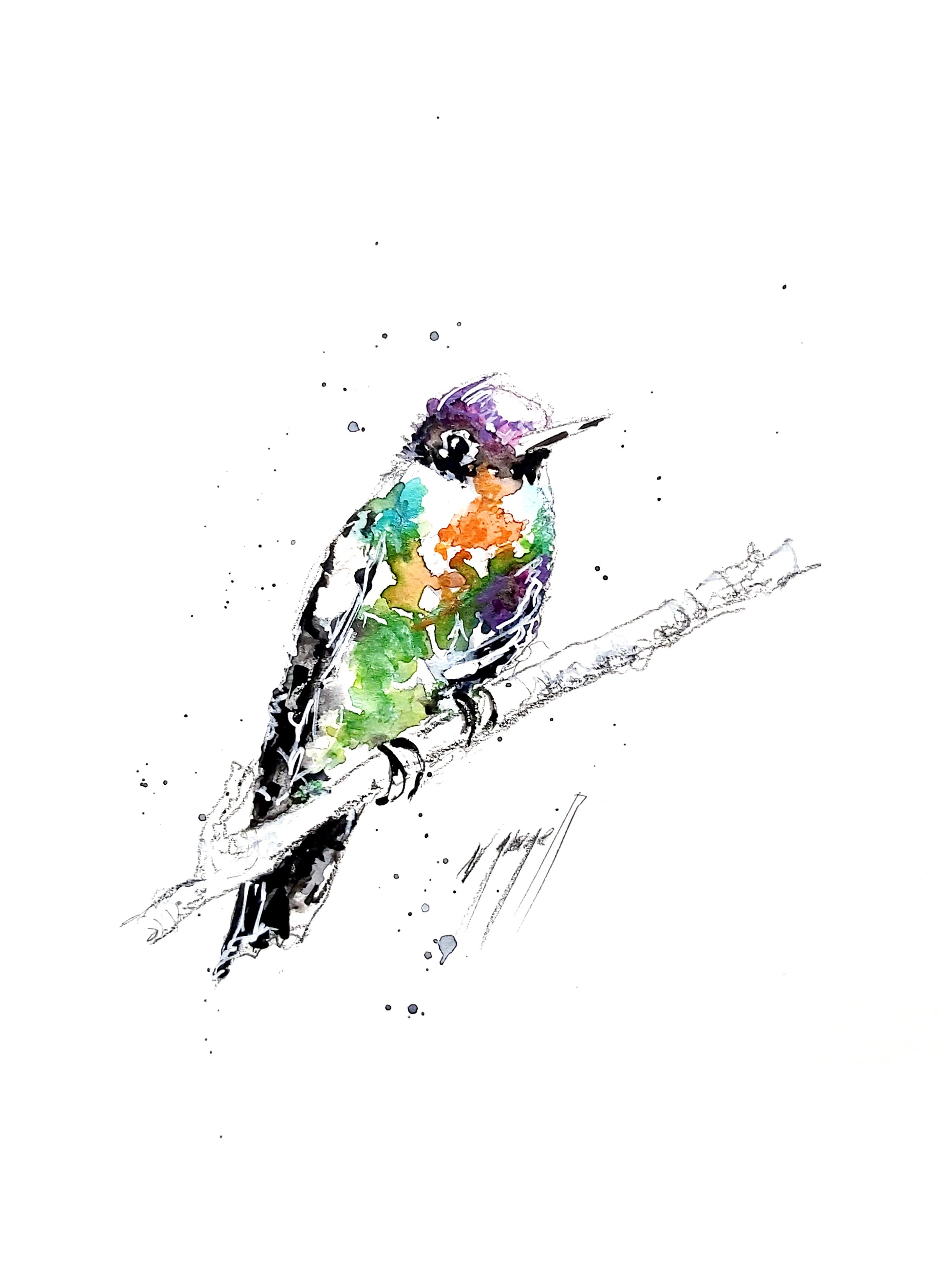 Noël Granger, Le petit colibris ! Noël Granger, Le petit colibris !