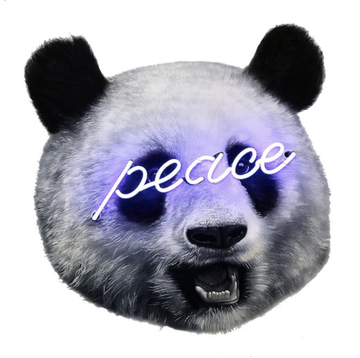 Shyglo