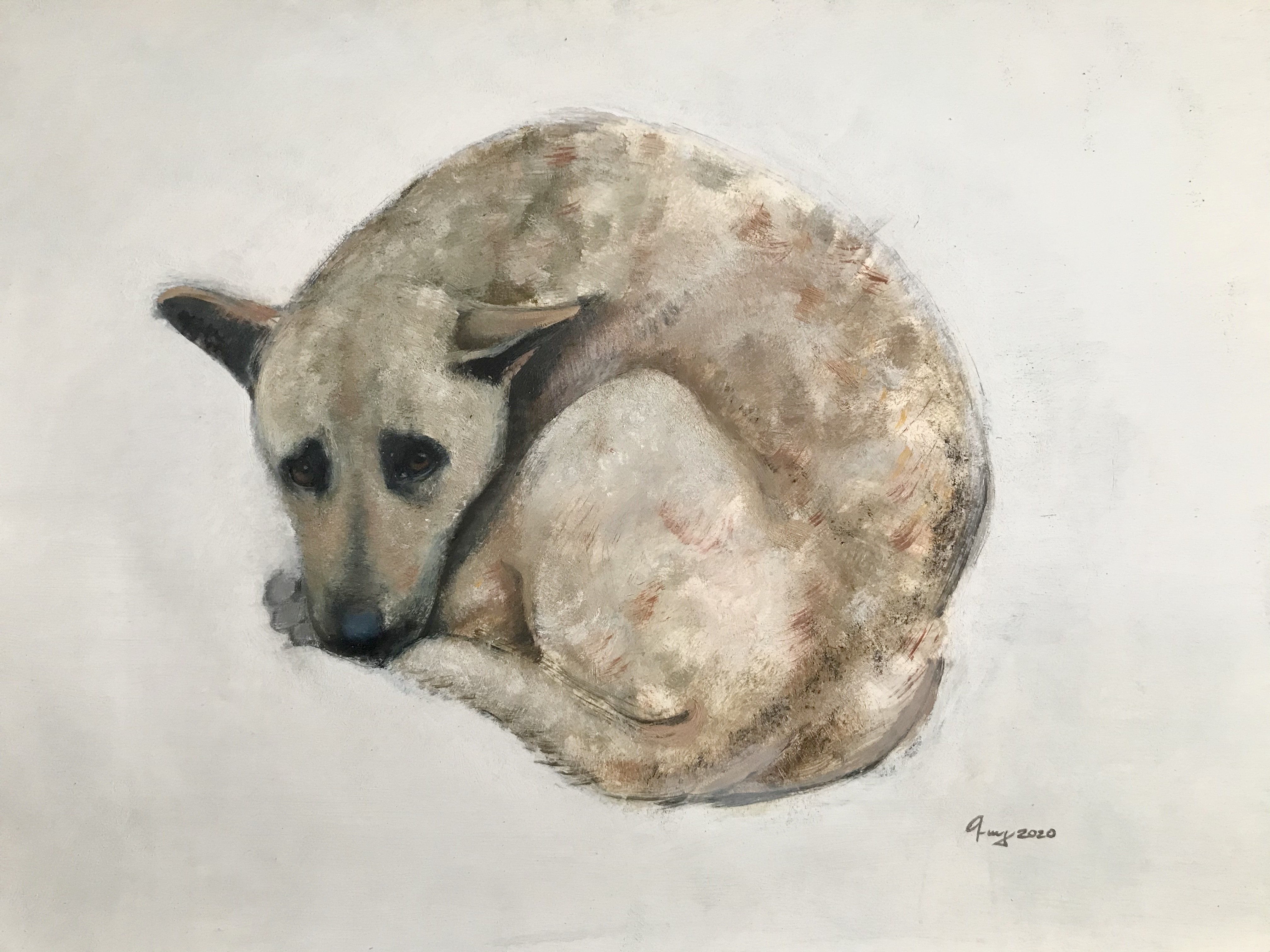 Guy Ghazanchyan, Dog Guy Ghazanchyan, Dog