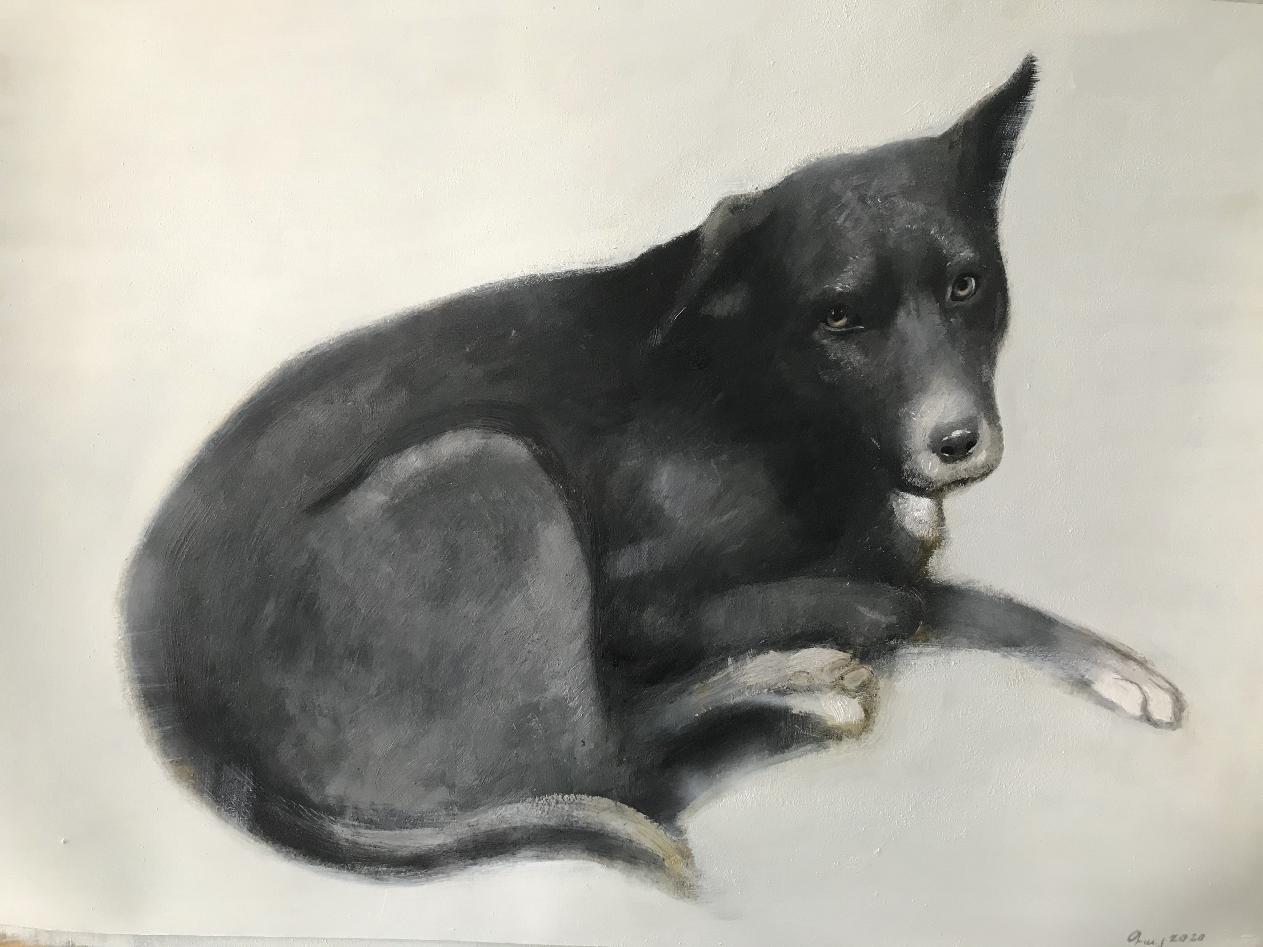 Guy Ghazanchyan, Dog Guy Ghazanchyan, Dog