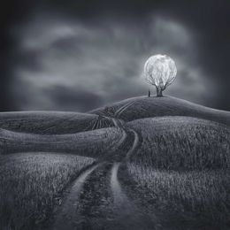 Photography, Illuminate my world, Sherry Akrami