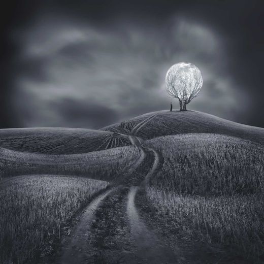Sherry Akrami