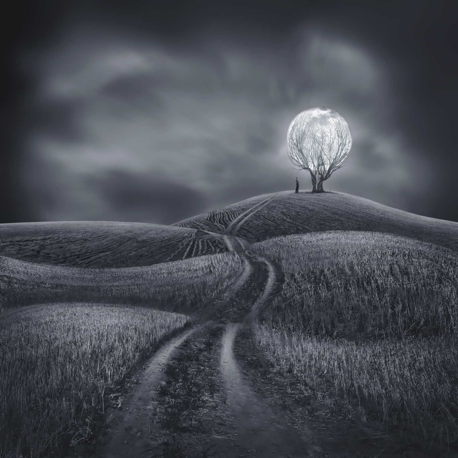 Sherry Akrami, Illuminate my world Sherry Akrami, Illuminate my world