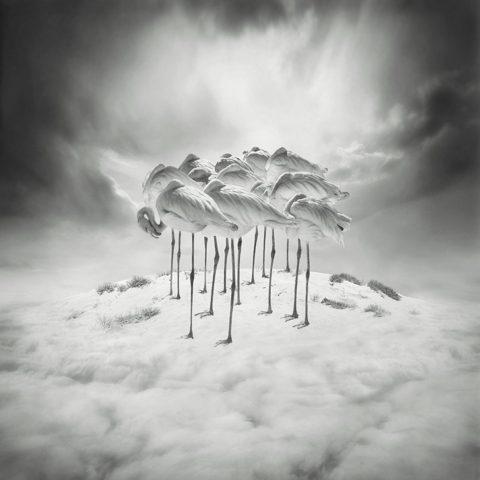 Sherry Akrami, Sweet Dreams Sherry Akrami, Sweet Dreams
