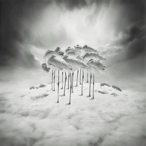 Fotografien, Sweet Dreams, Sherry Akrami