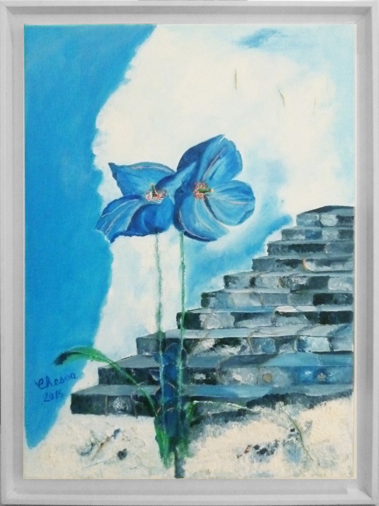 Chesca, Le pavot bleu Chesca, Le pavot bleu