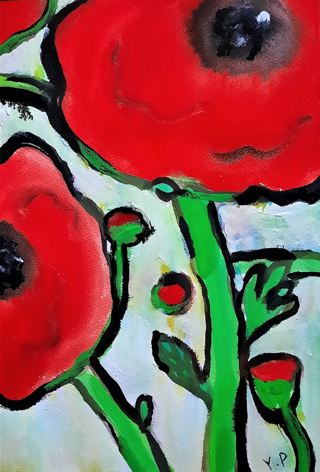 Youmi, Coquelicots Youmi, Coquelicots