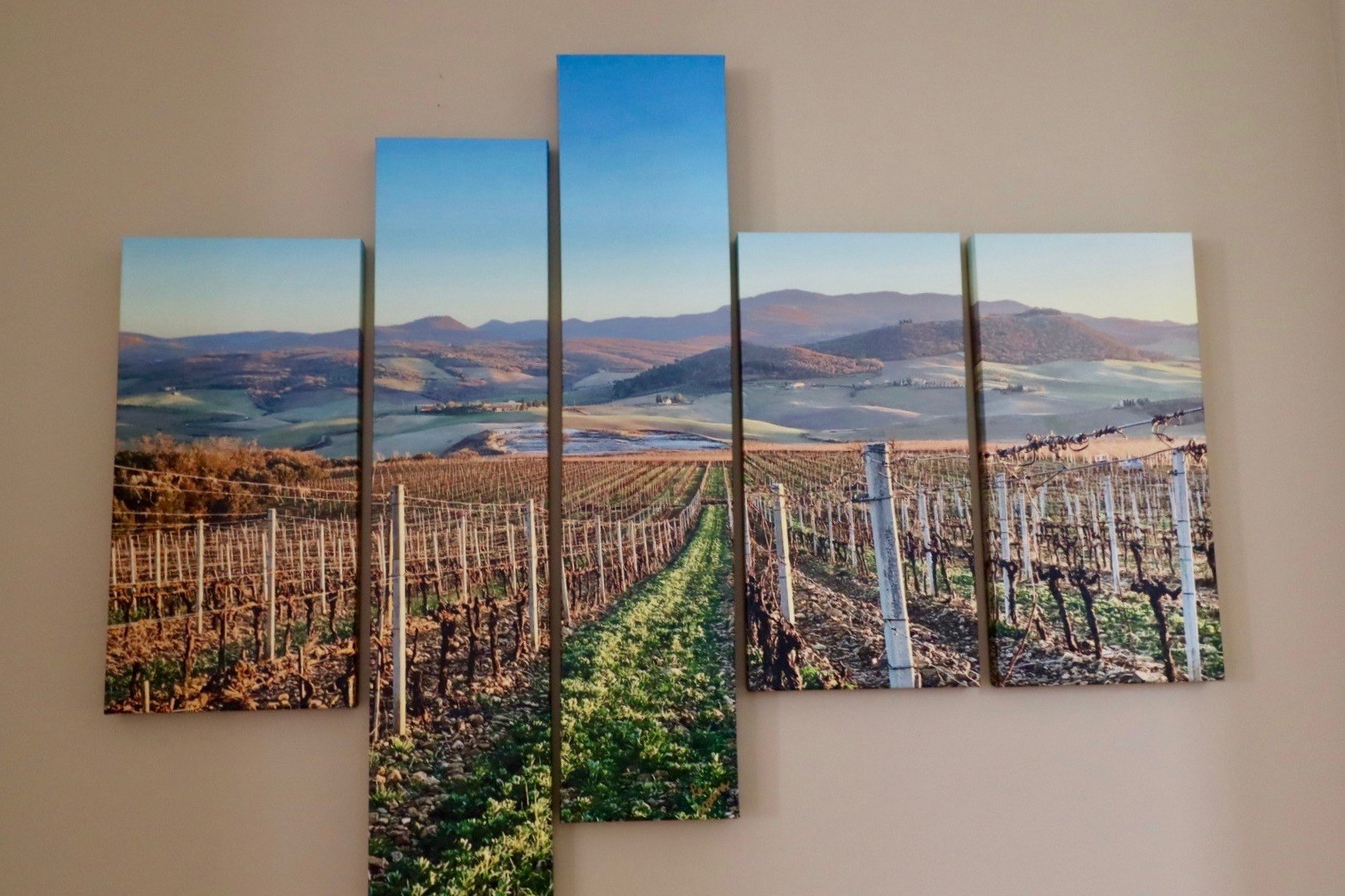 Donna Carnahan, Winter Tuscan Vineyard Donna Carnahan, Winter Tuscan Vineyard