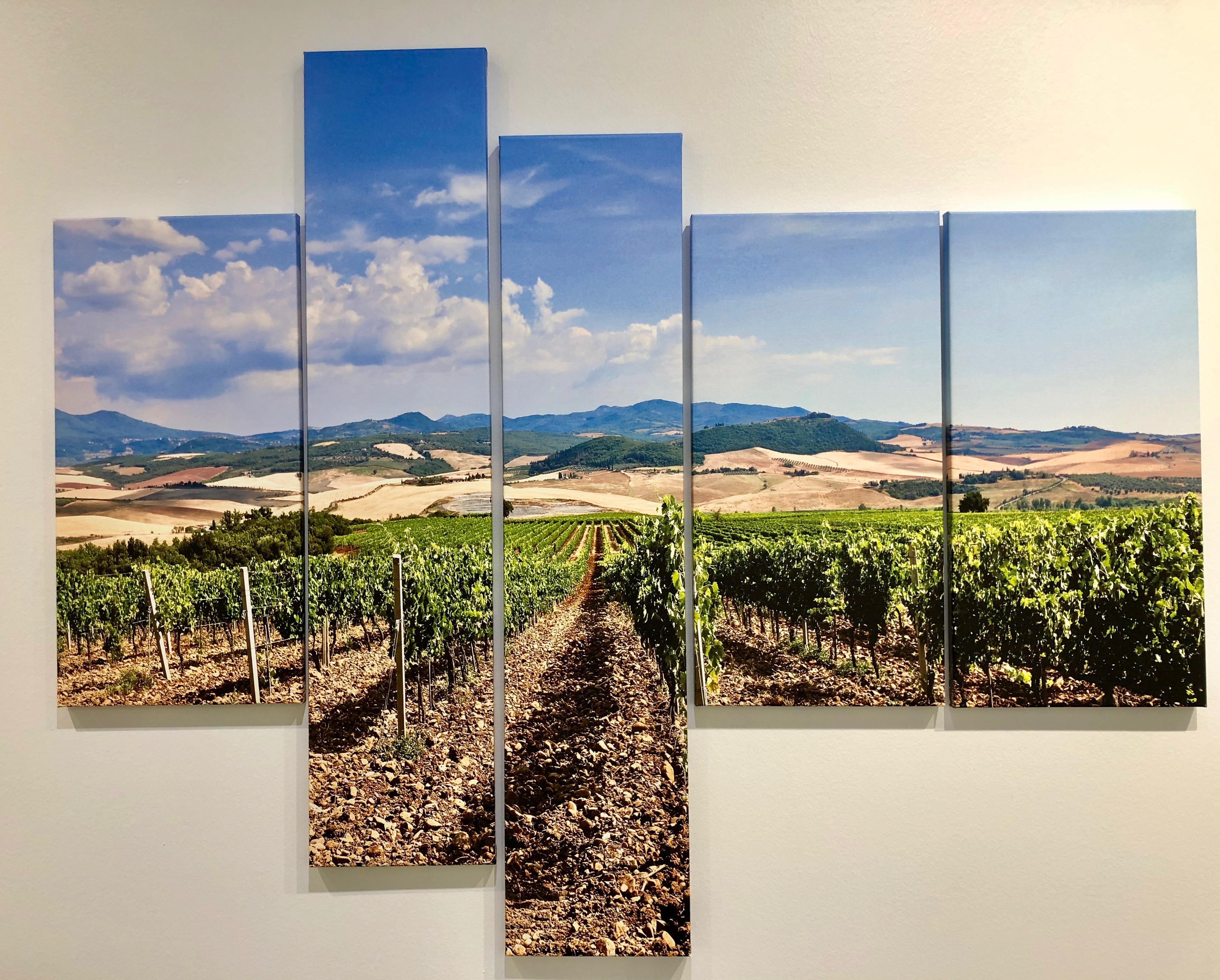 Donna Carnahan, Summer Tuscan Vineyard Donna Carnahan, Summer Tuscan Vineyard